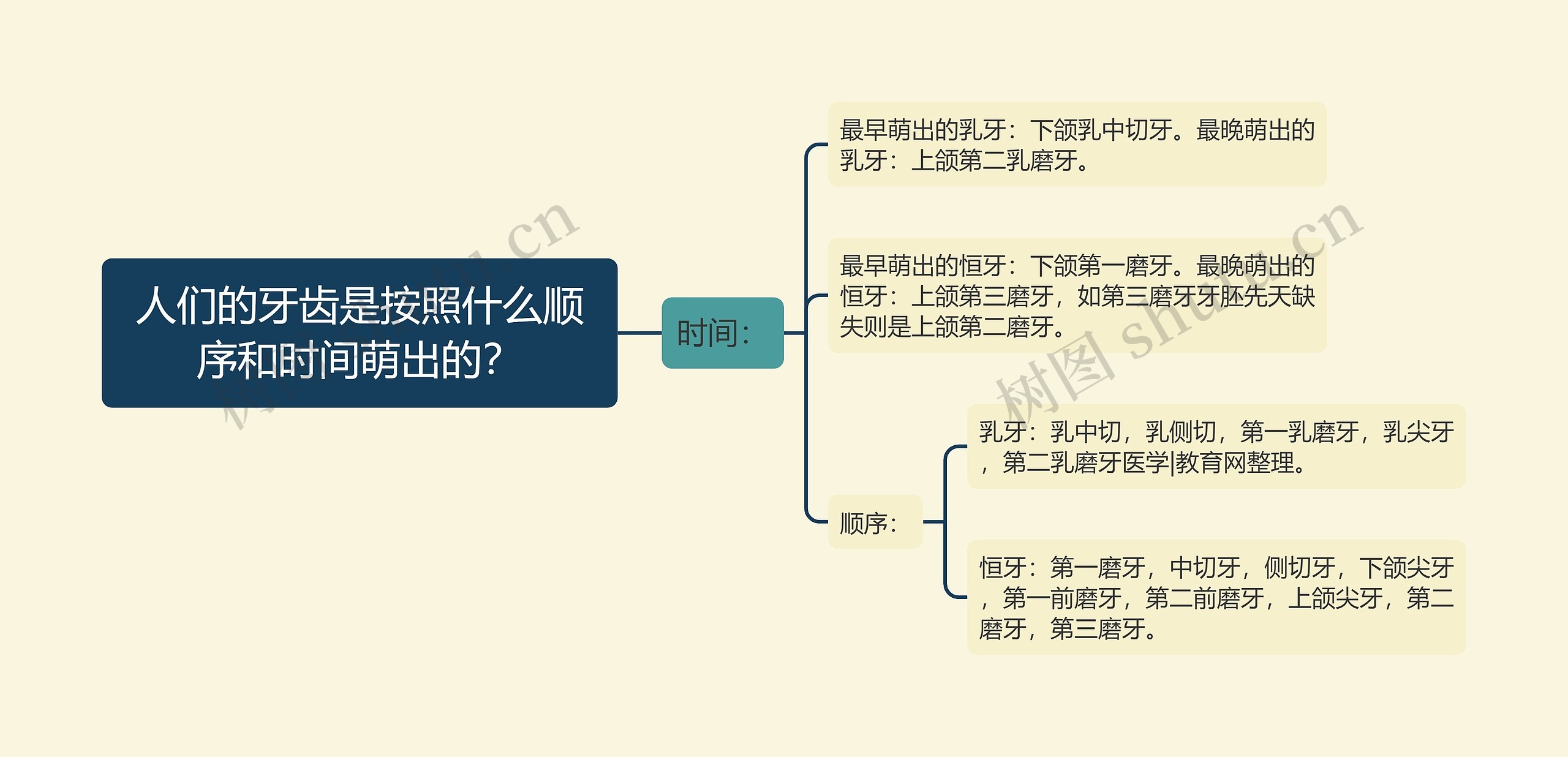 人们的牙齿是按照什么顺序和时间萌出的? 人们的牙齿是按照什么顺序和时间萌出的?
