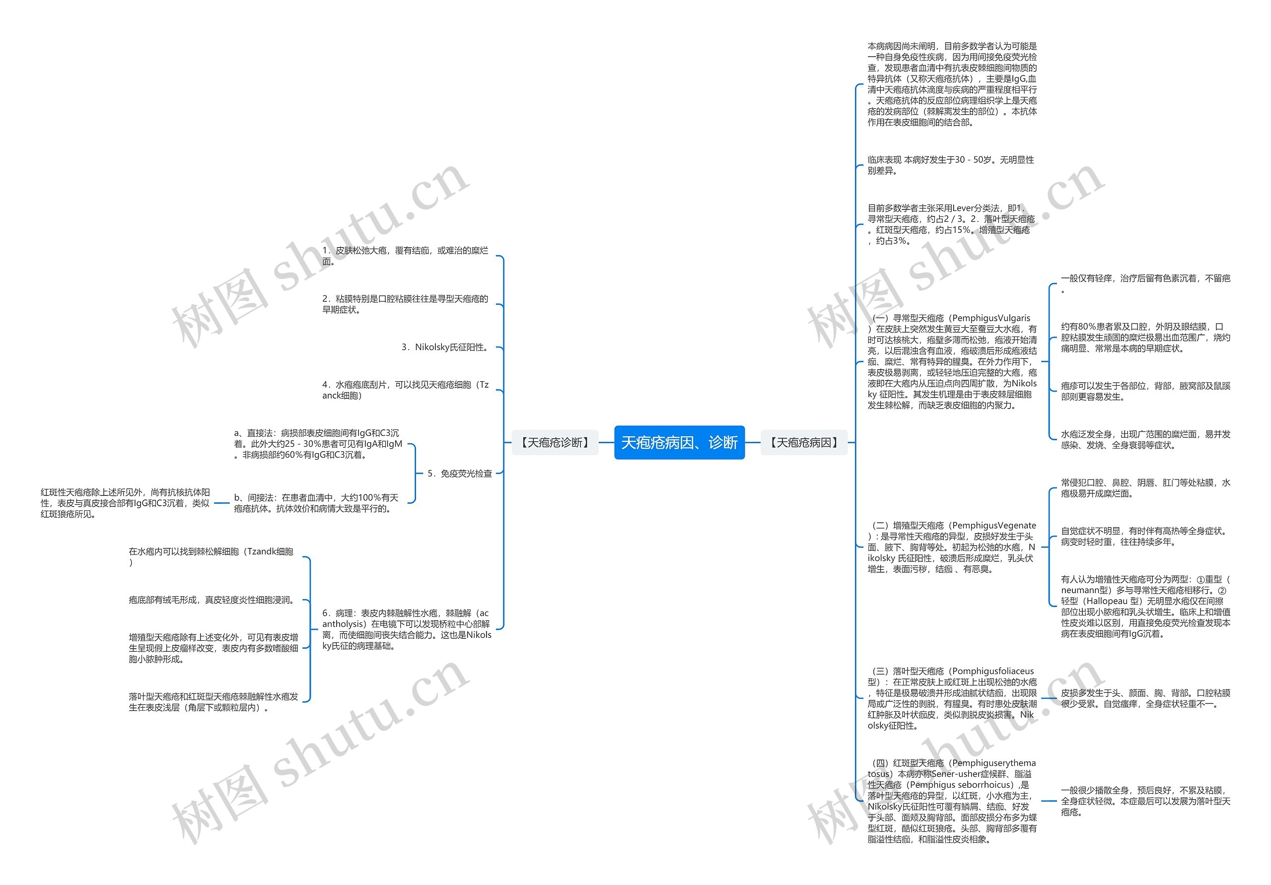 天疱疮病因、诊断思维导图
