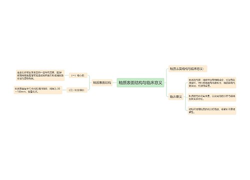 釉质表面结构与临床意义