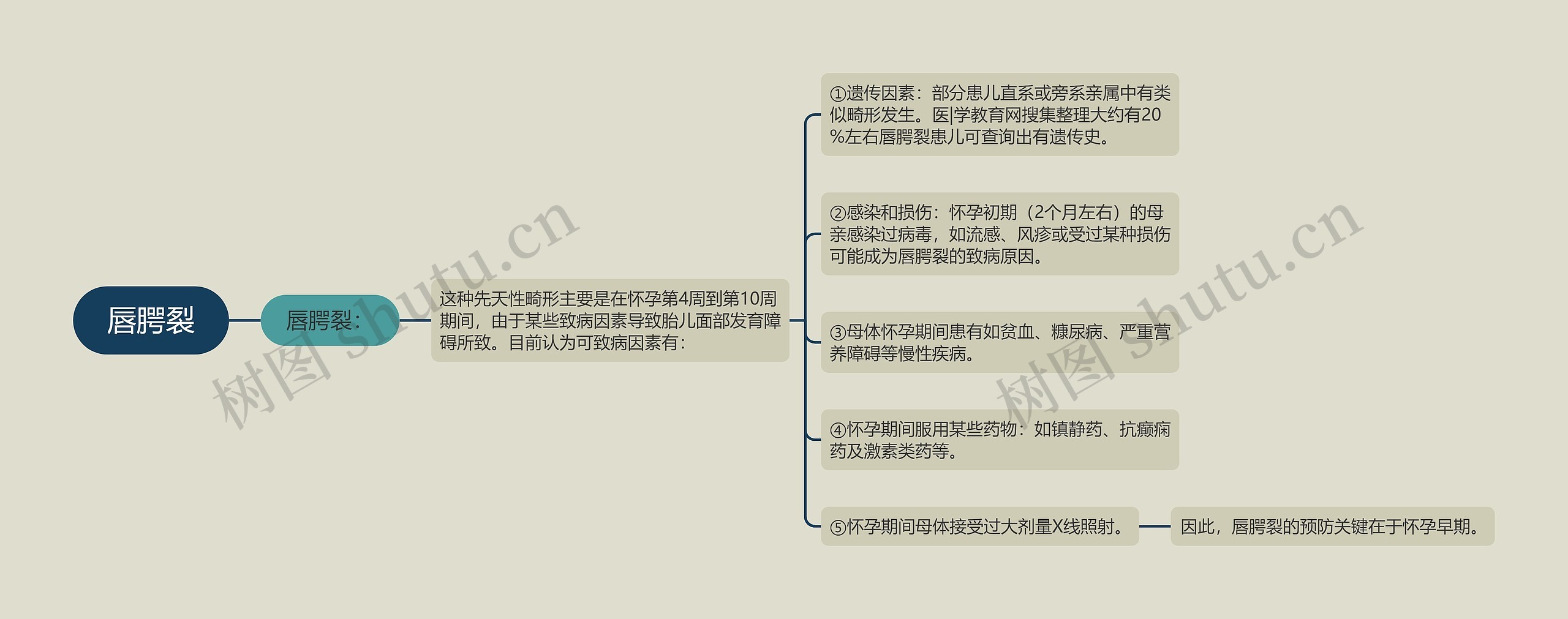 唇腭裂思维导图