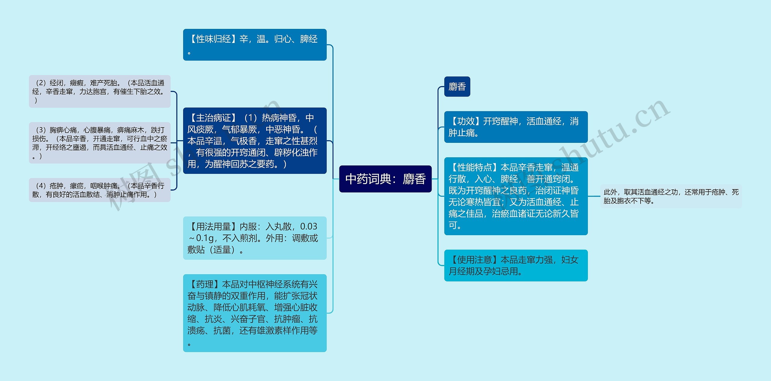 中药词典：麝香思维导图