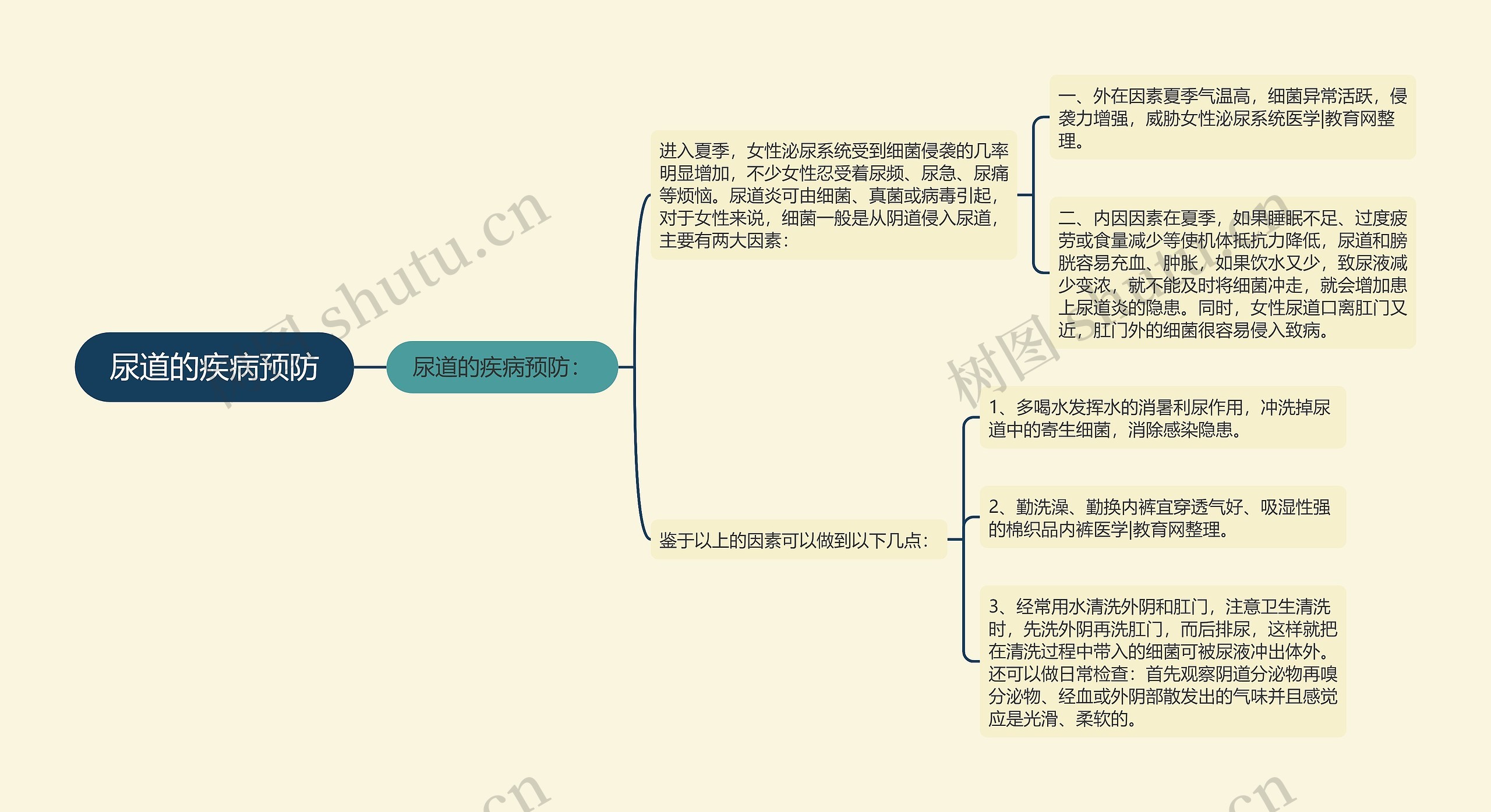 尿道的疾病预防思维导图