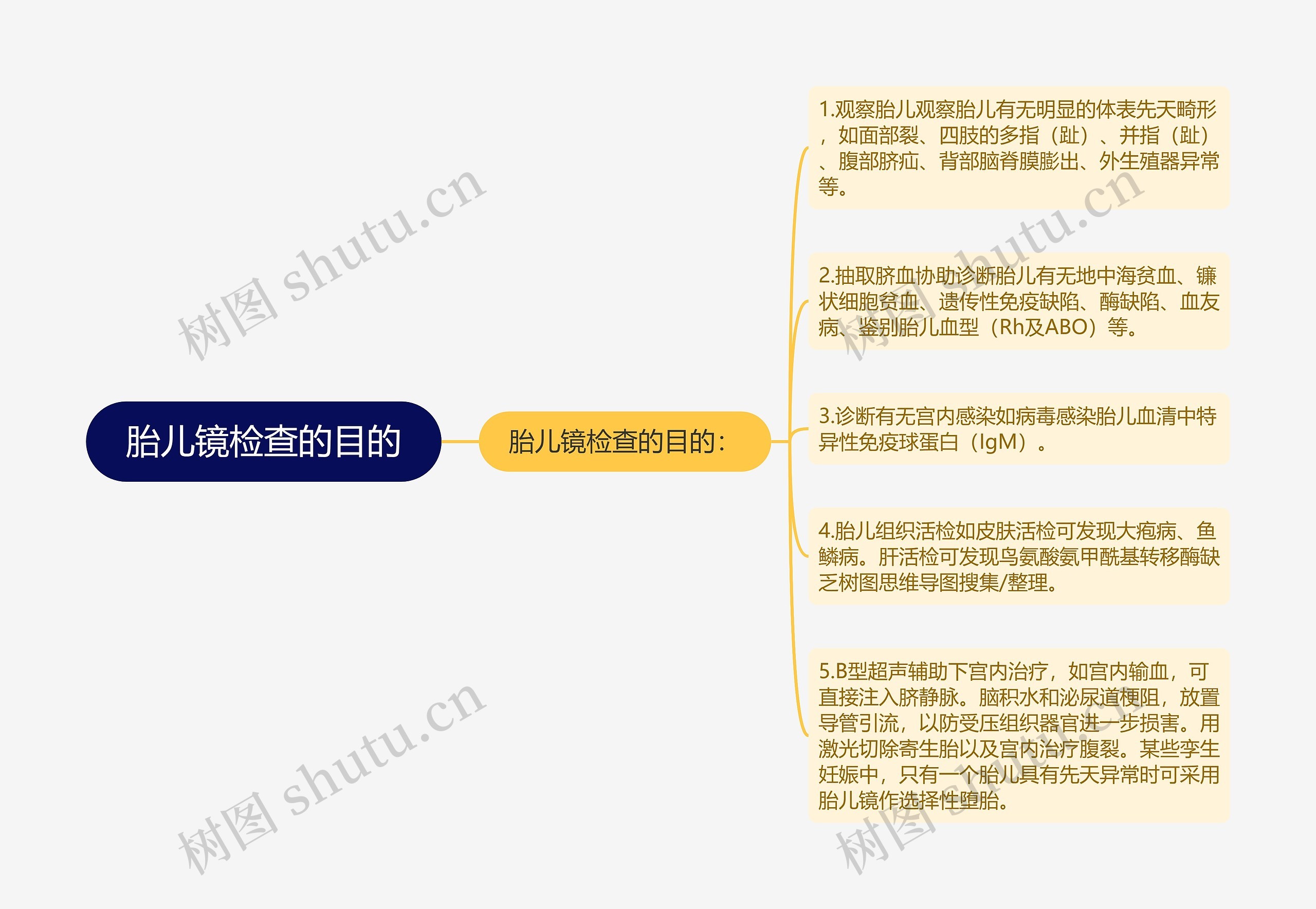 胎儿镜检查的目的