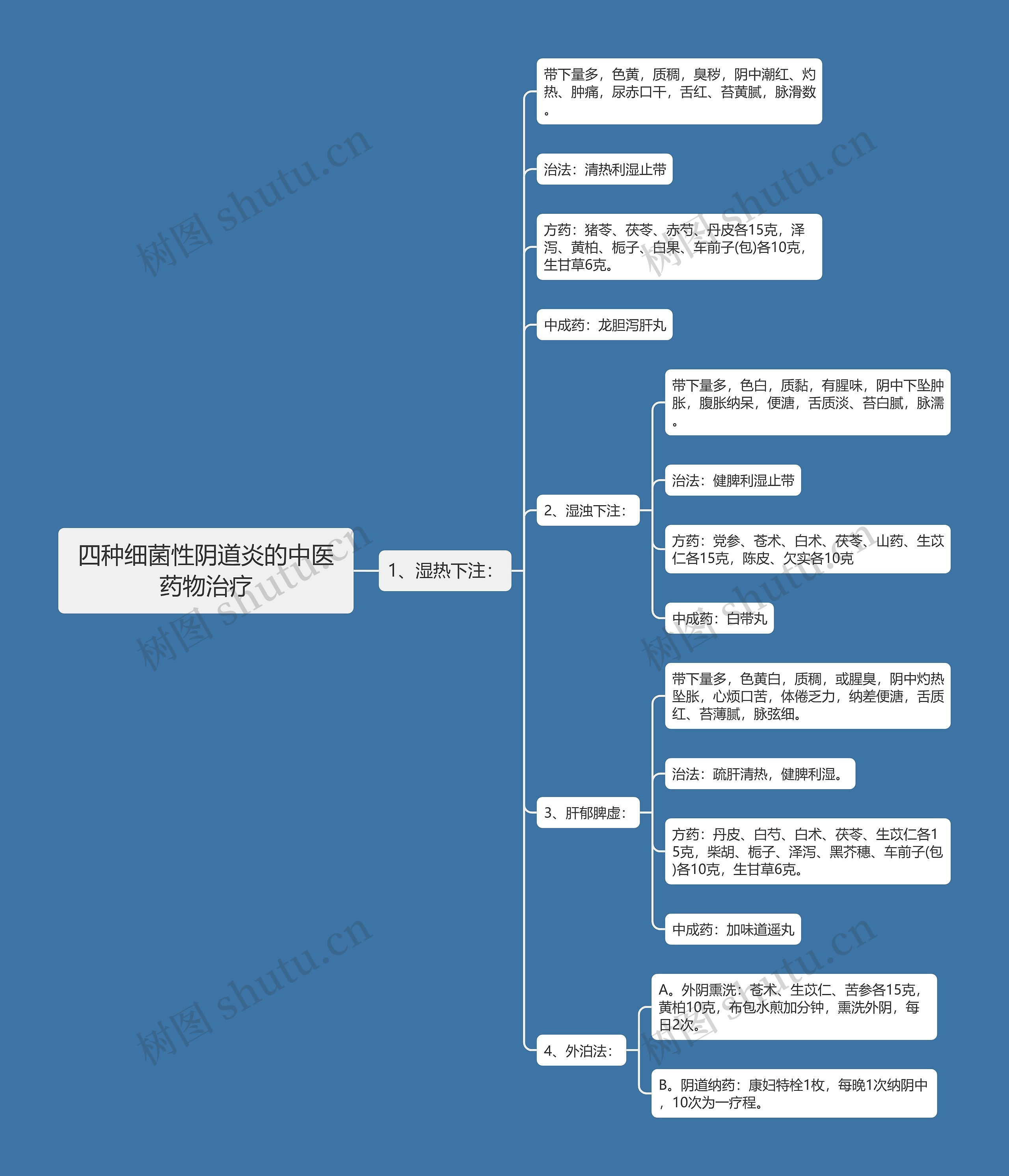 四种细菌性阴道炎的中医药物治疗思维导图