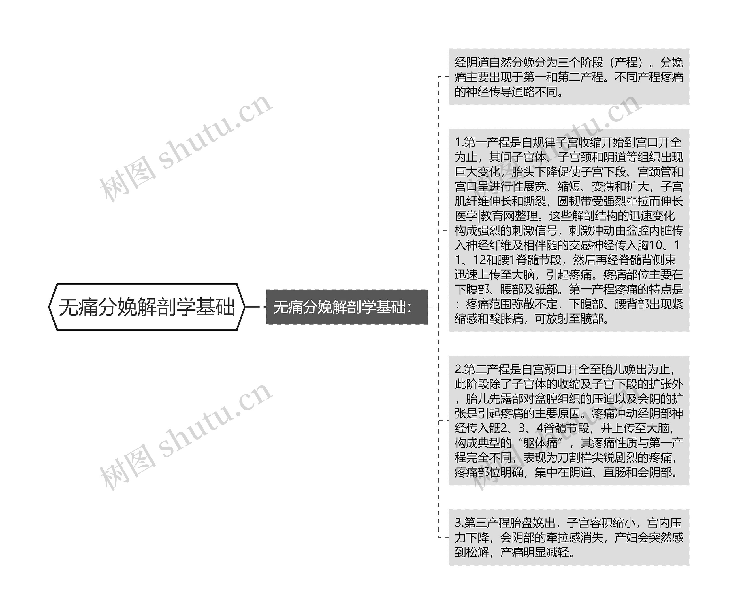 无痛分娩解剖学基础