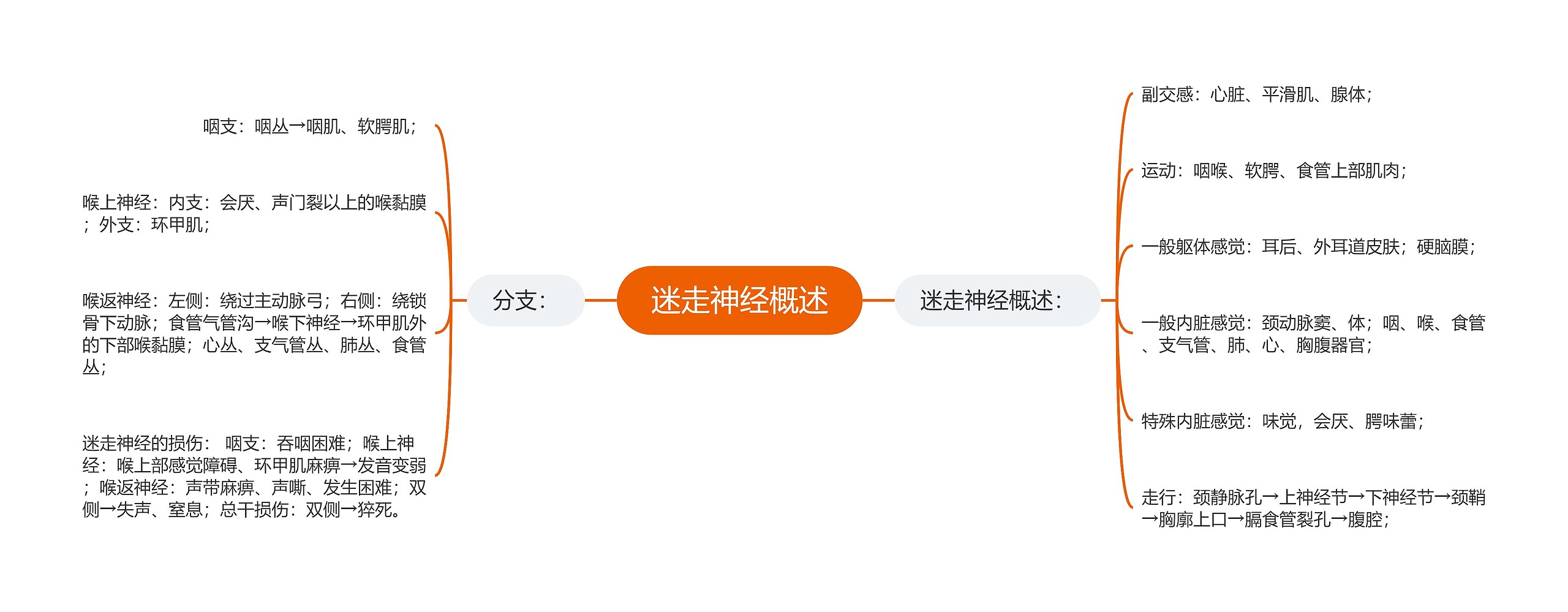 迷走神经概述 迷走神经概述