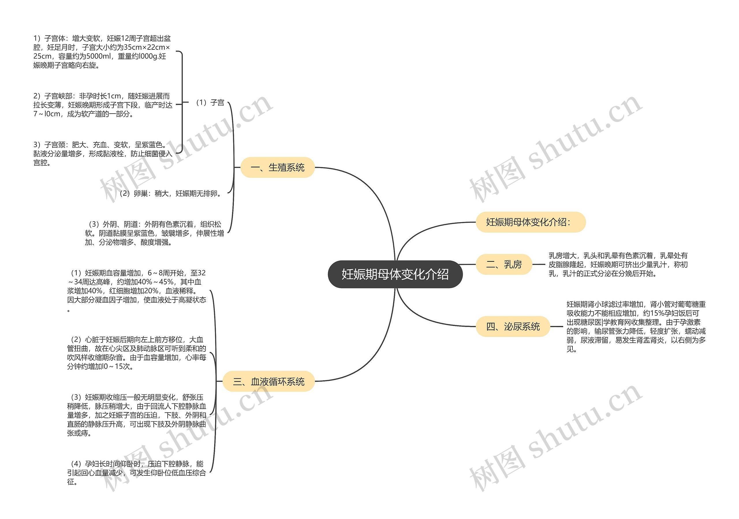 妊娠期母体变化介绍