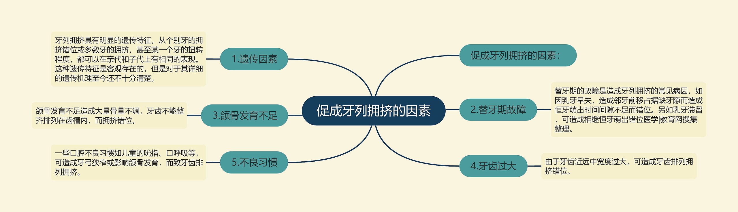 促成牙列拥挤的因素思维导图