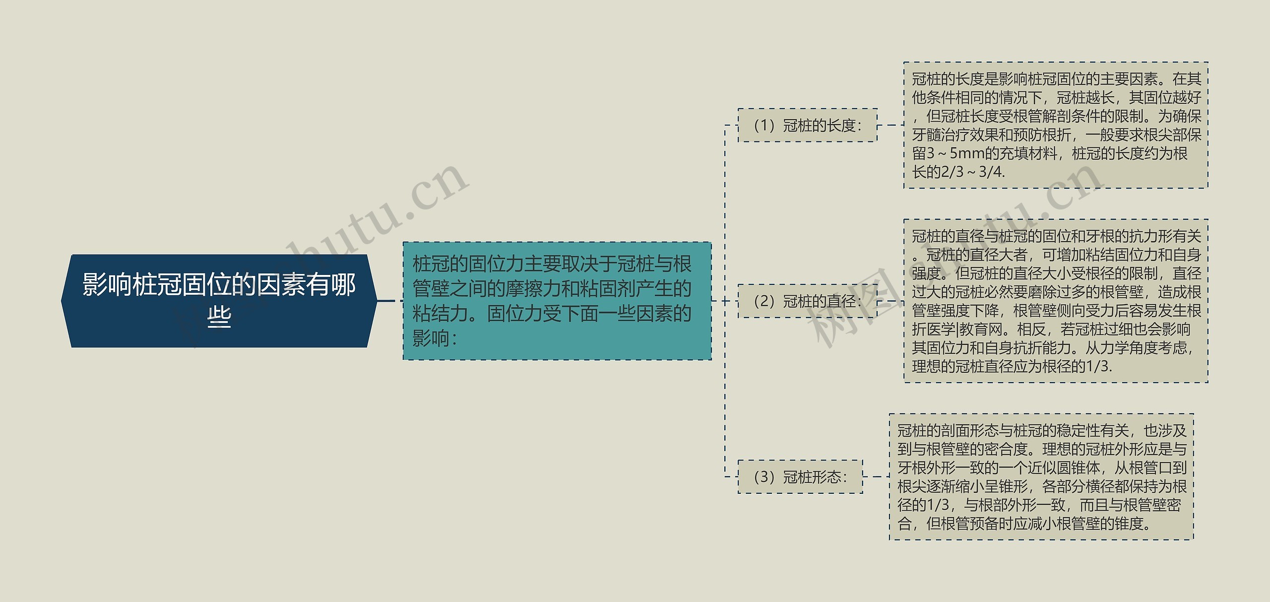 影响桩冠固位的因素有哪些