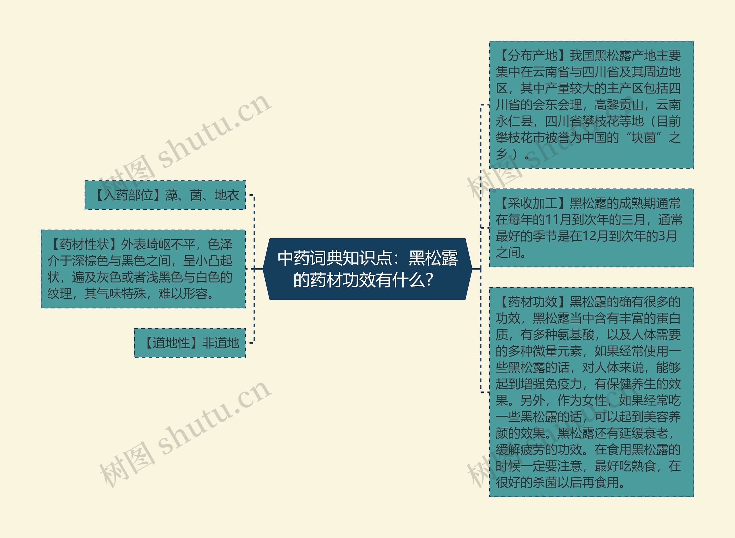 中药词典知识点：黑松露的药材功效有什么？思维导图