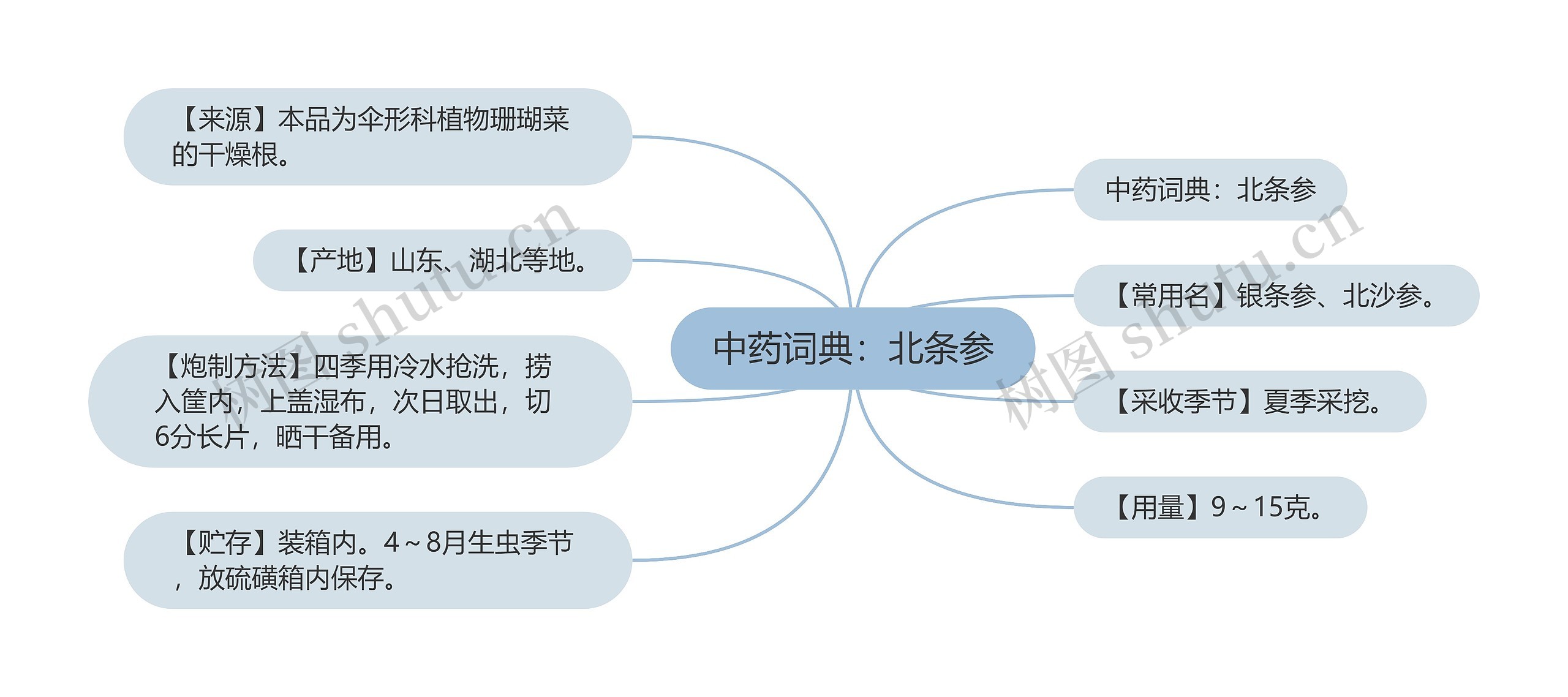 中药词典：北条参思维导图