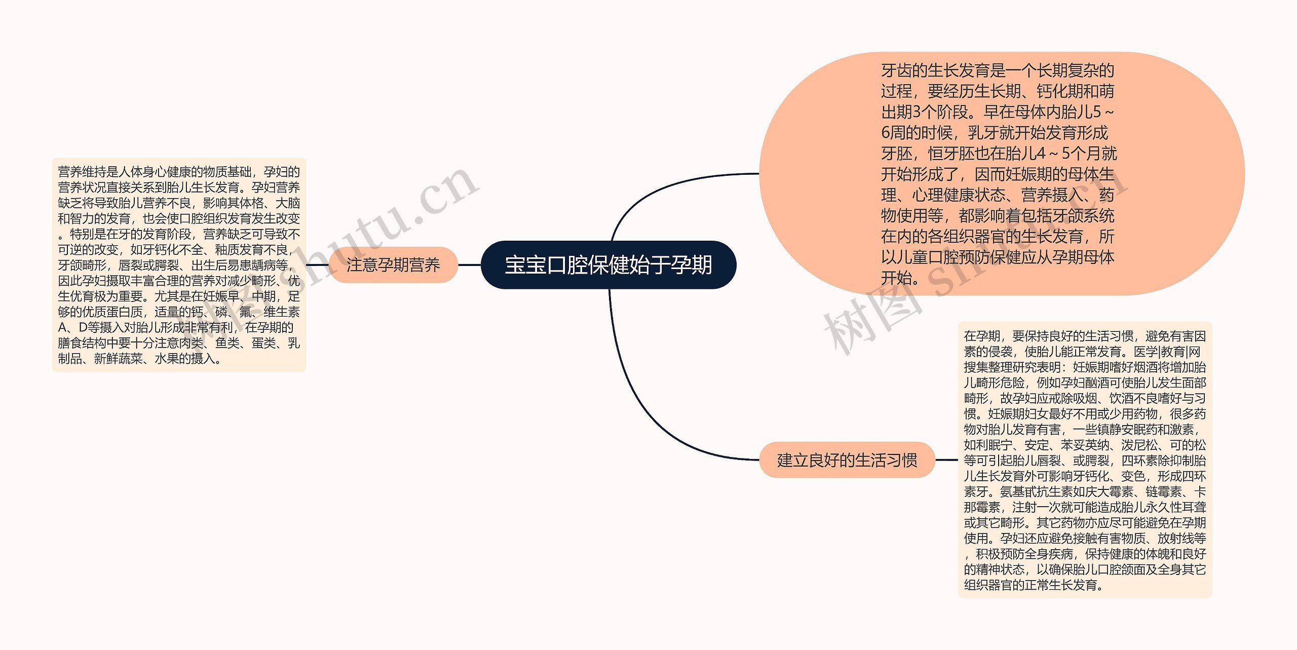 宝宝口腔保健始于孕期思维导图