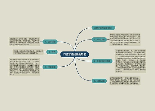 口腔牙髓的主要功能