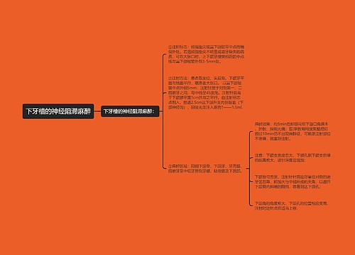 下牙槽的神经阻滞麻醉