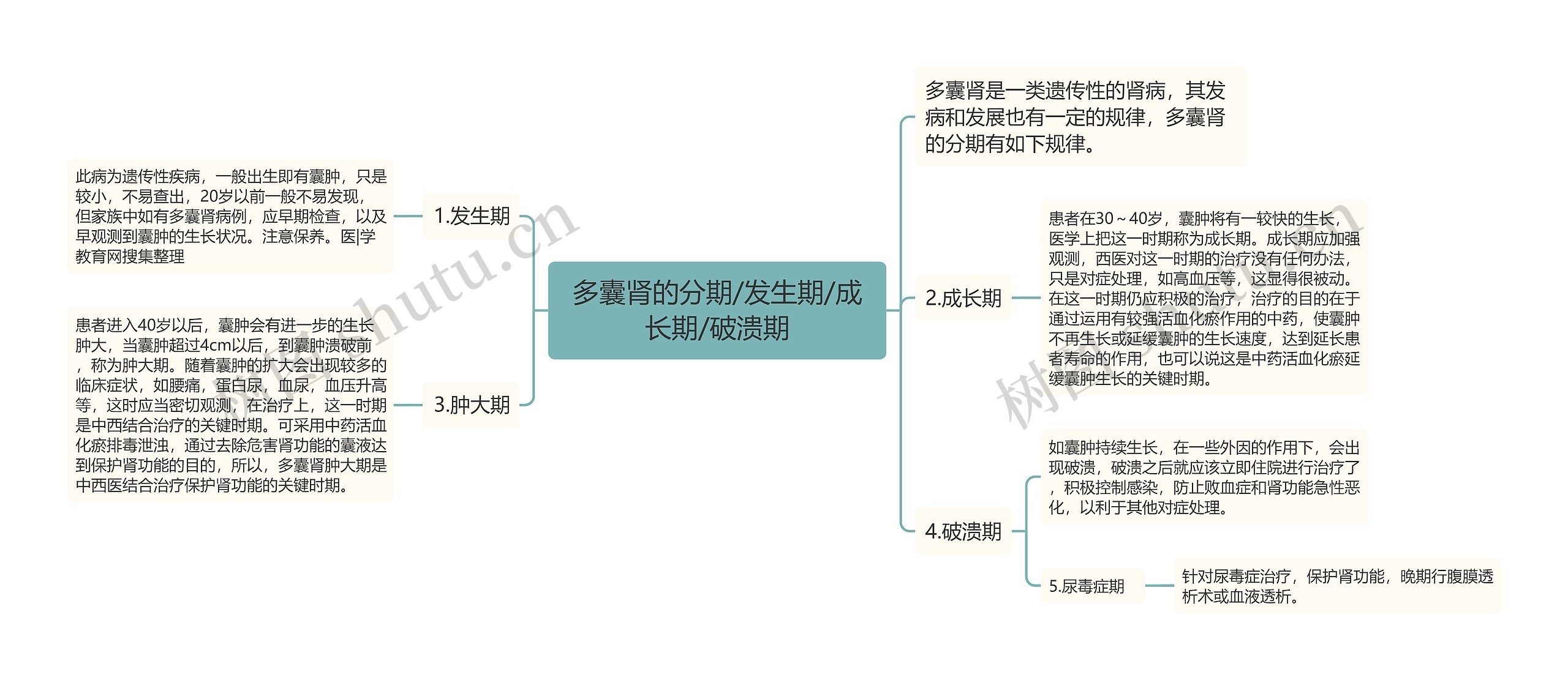 多囊肾的分期/发生期/成长期/破溃期思维导图