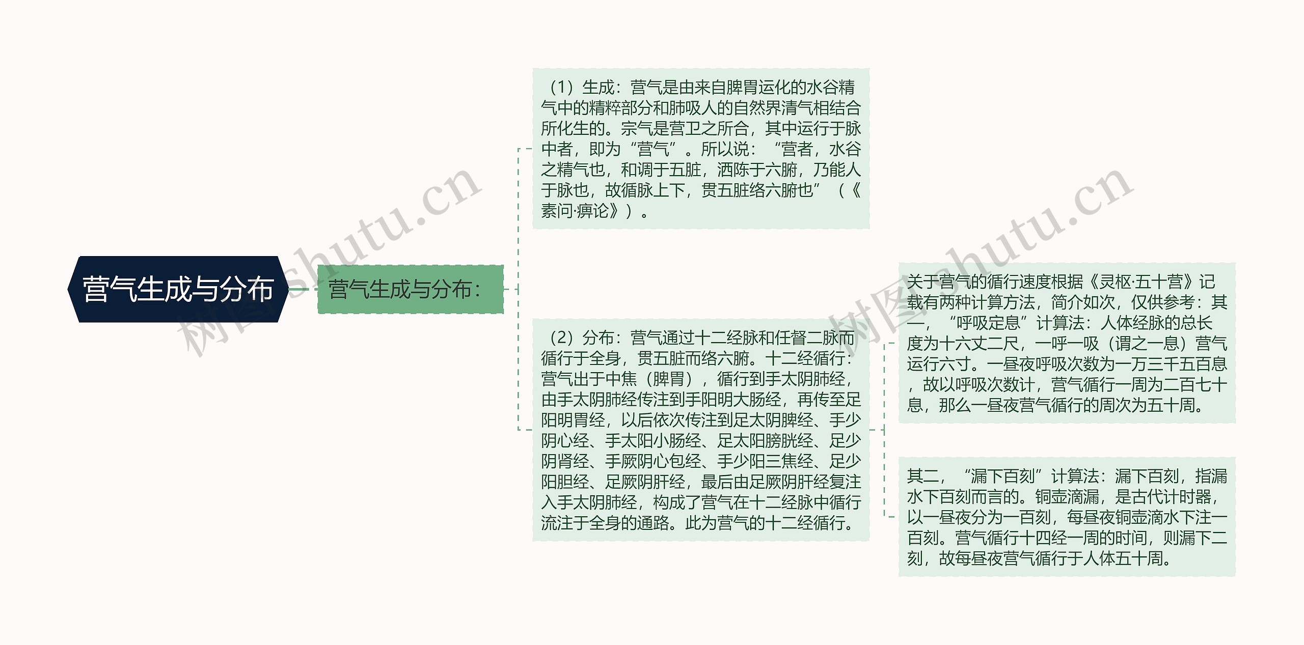 营气生成与分布 营气生成与分布