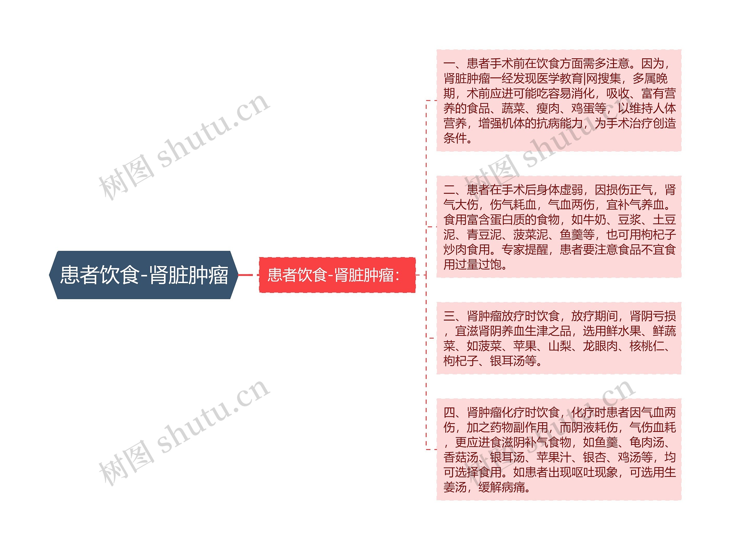 患者饮食-肾脏肿瘤思维导图