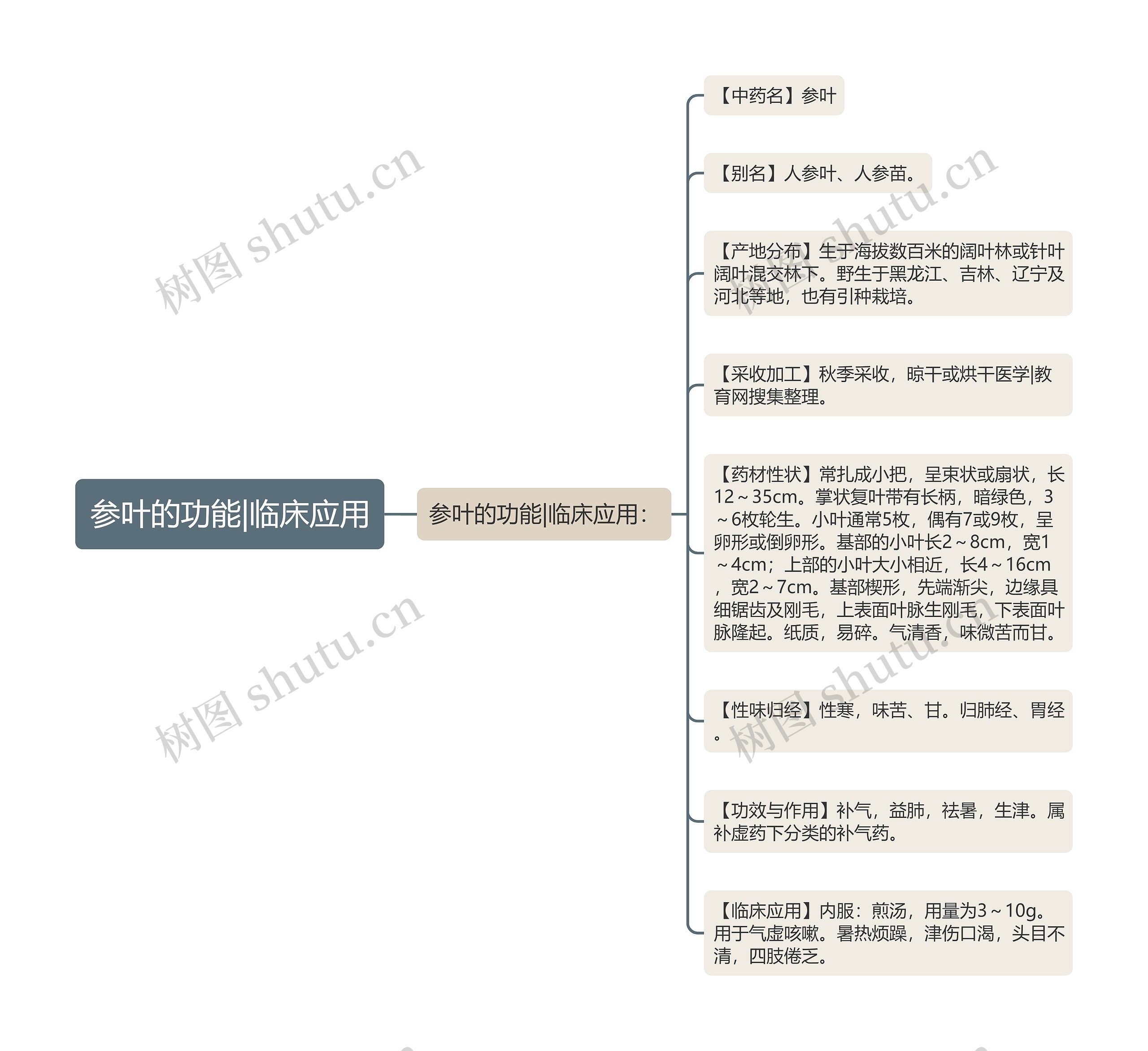 参叶的功能|临床应用思维导图