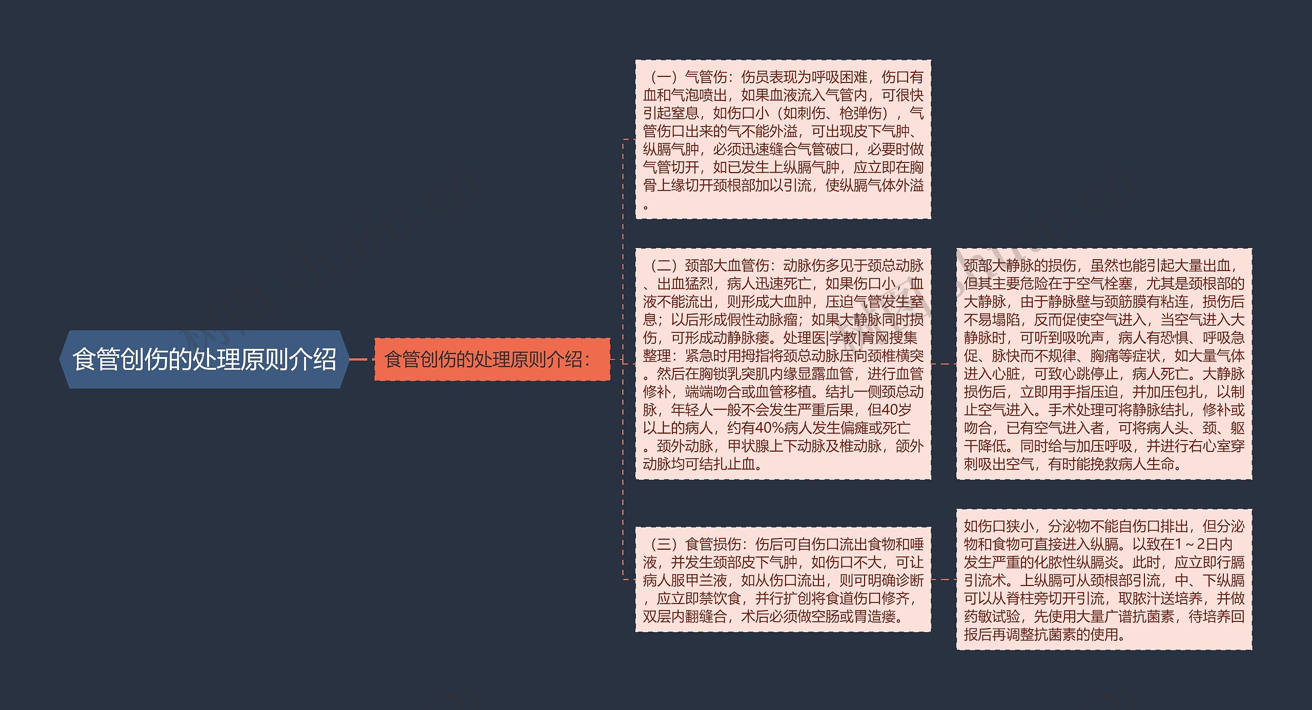 食管创伤的处理原则介绍 食管创伤的处理原则介绍