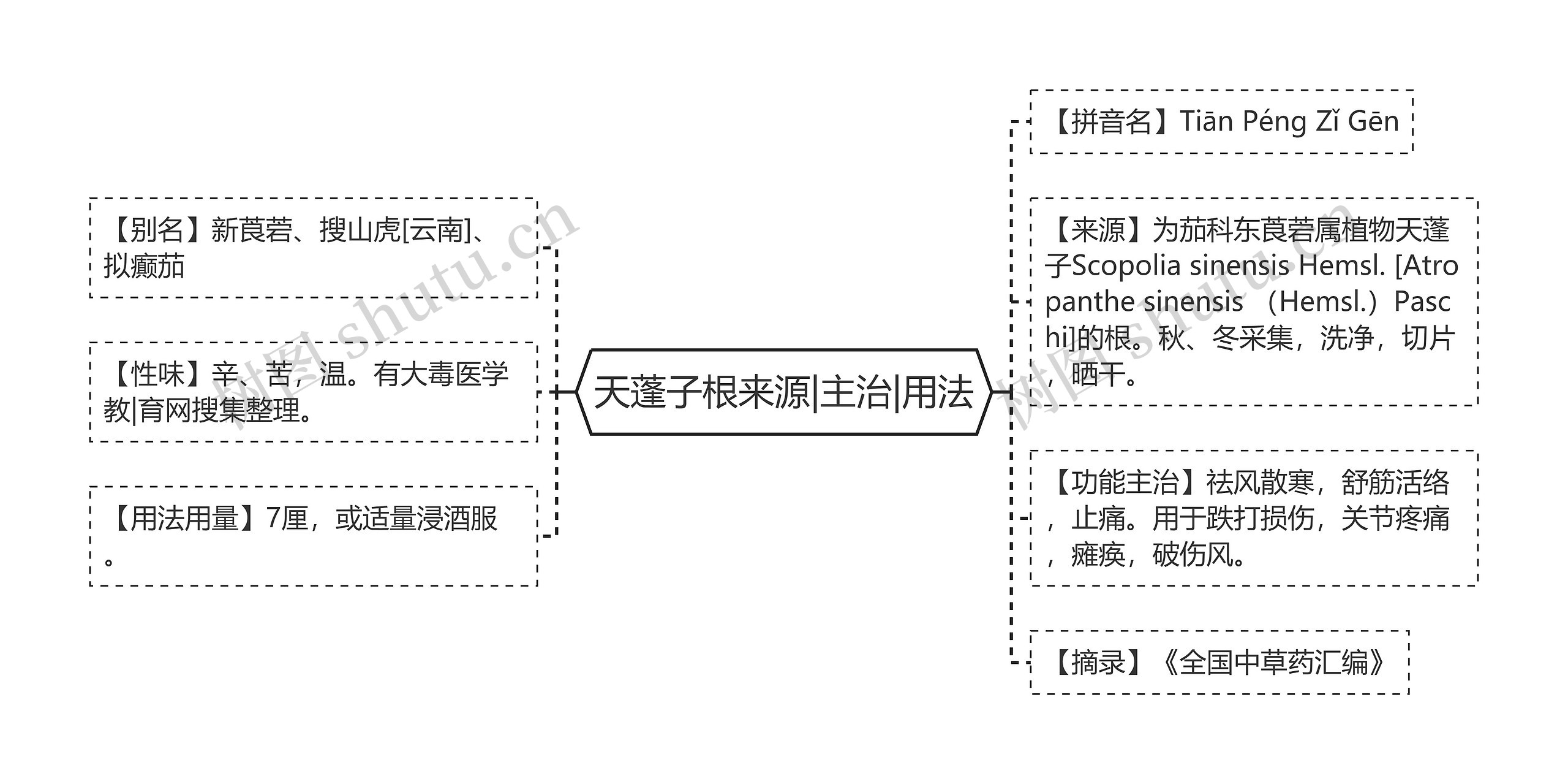 天蓬子根来源|主治|用法思维导图