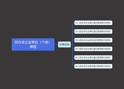 民办非企业单位（个体）章程