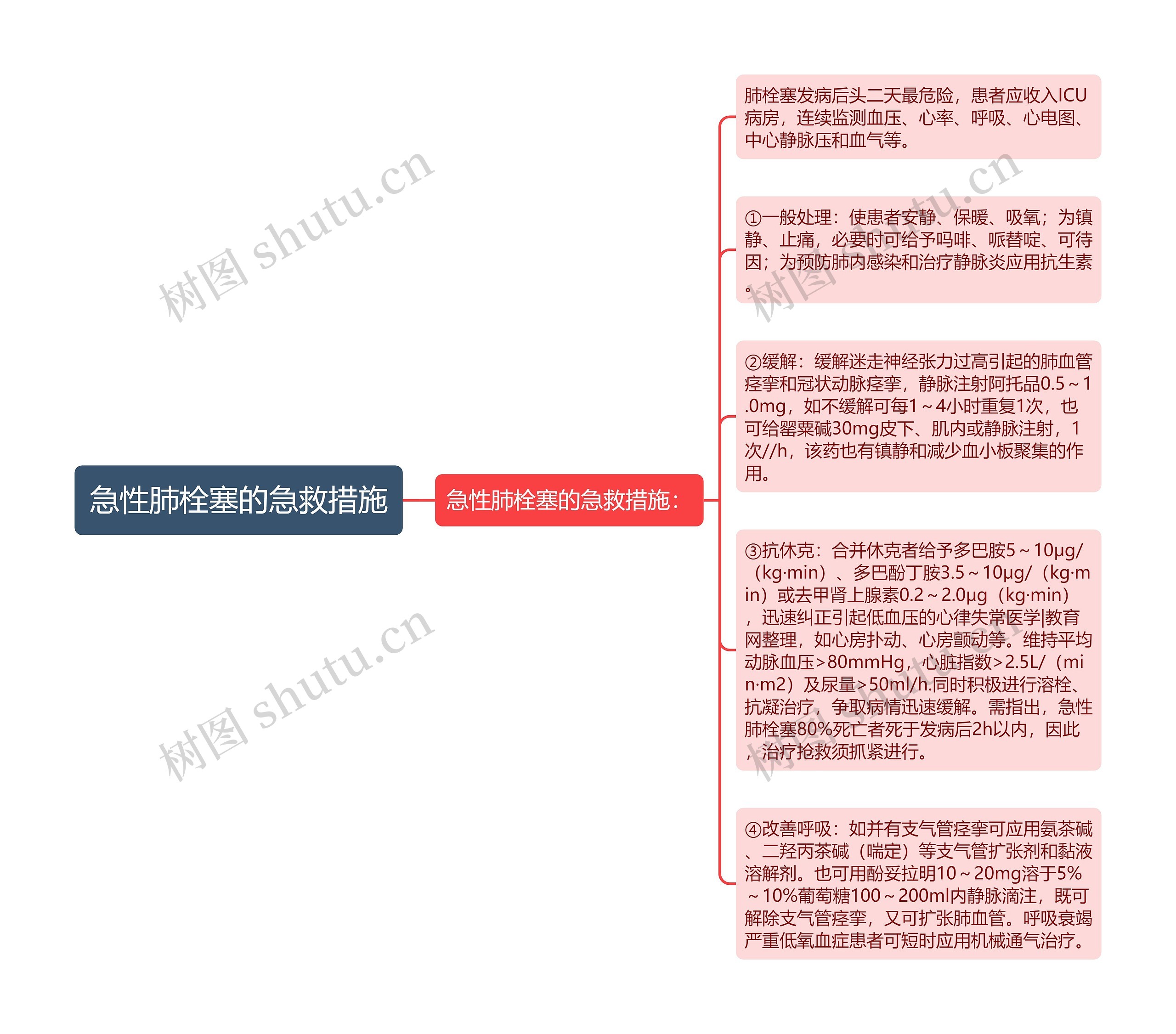 急性肺栓塞的急救措施思维导图