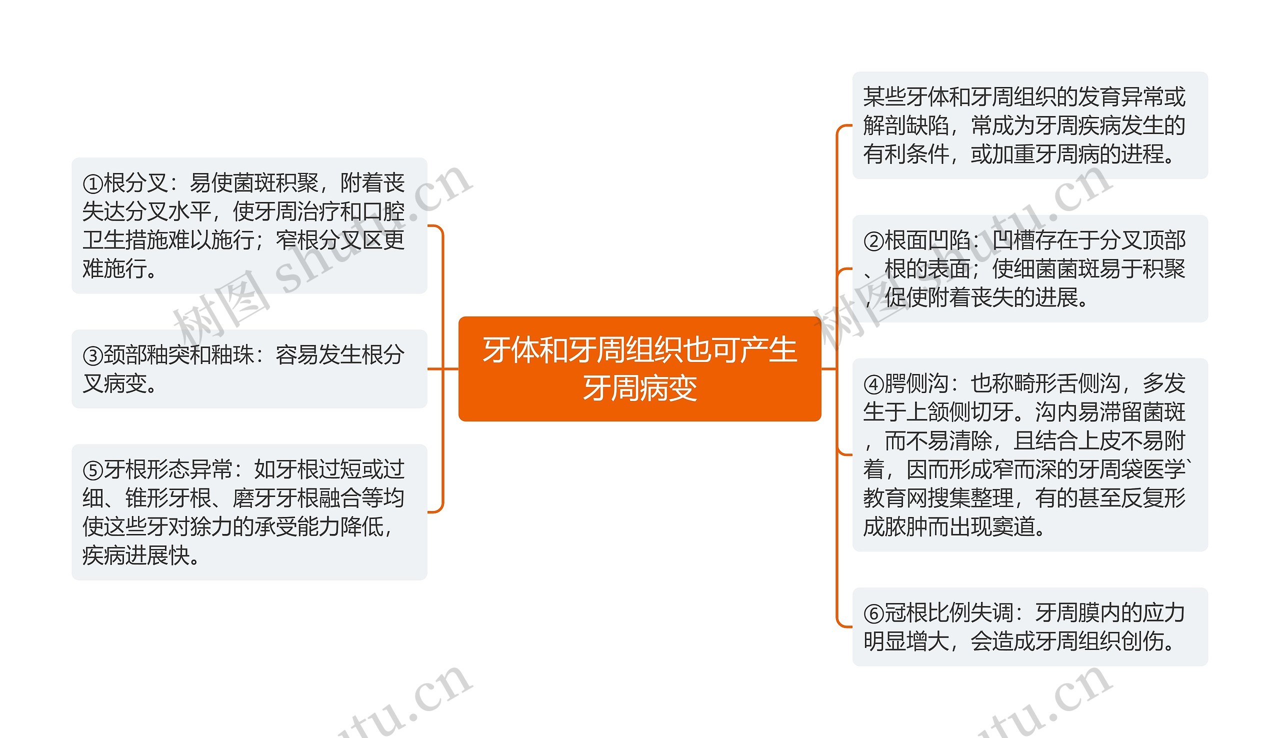 牙体和牙周组织也可产生牙周病变思维导图