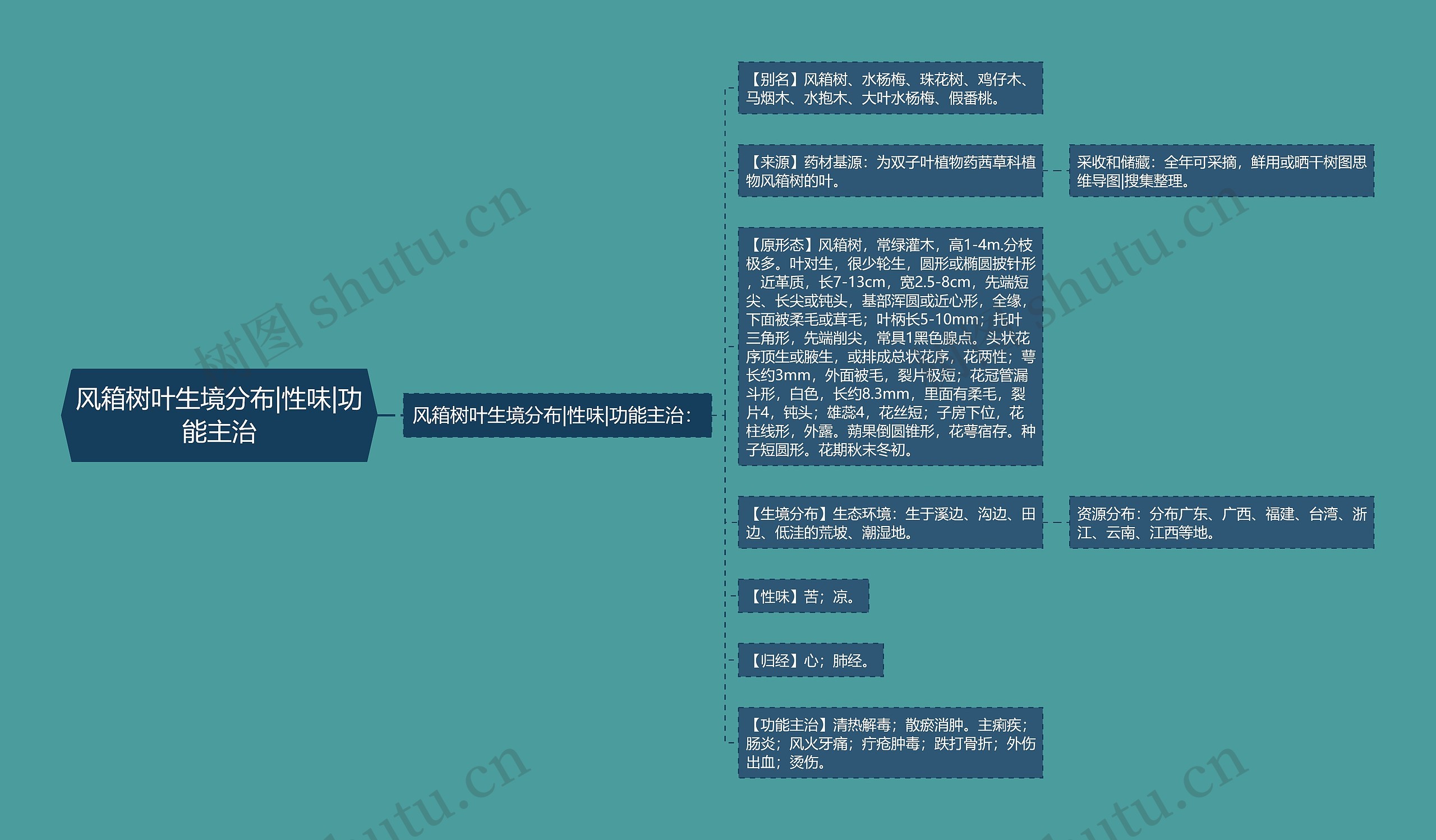 风箱树叶生境分布|性味|功能主治思维导图