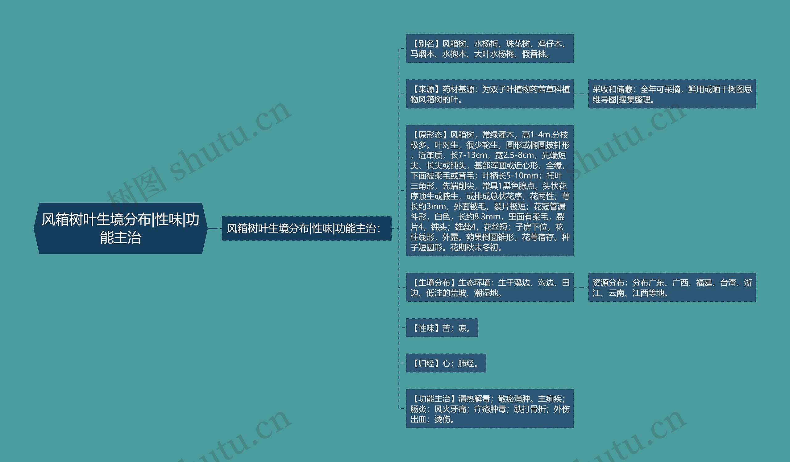 风箱树叶生境分布|性味|功能主治 风箱树叶生境分布|性味|功能主治