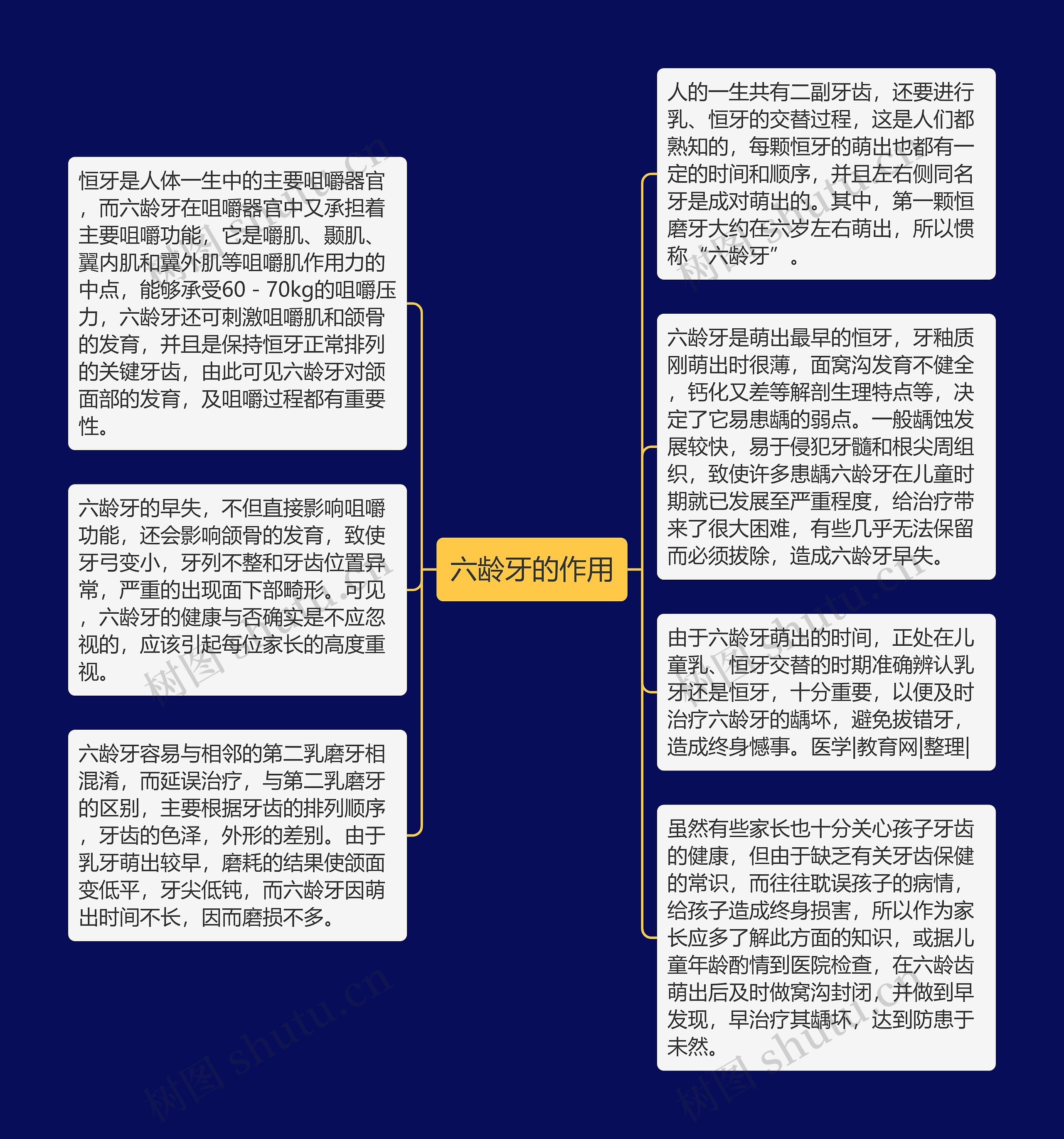 六龄牙的作用思维导图