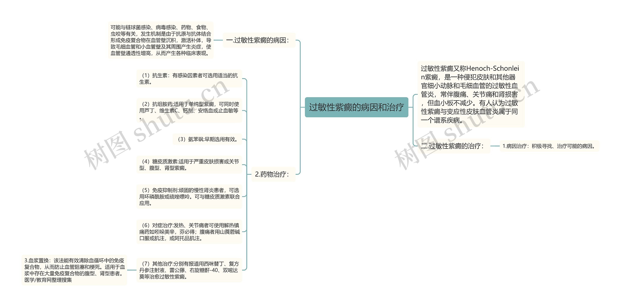 过敏性紫癜的病因和治疗思维导图