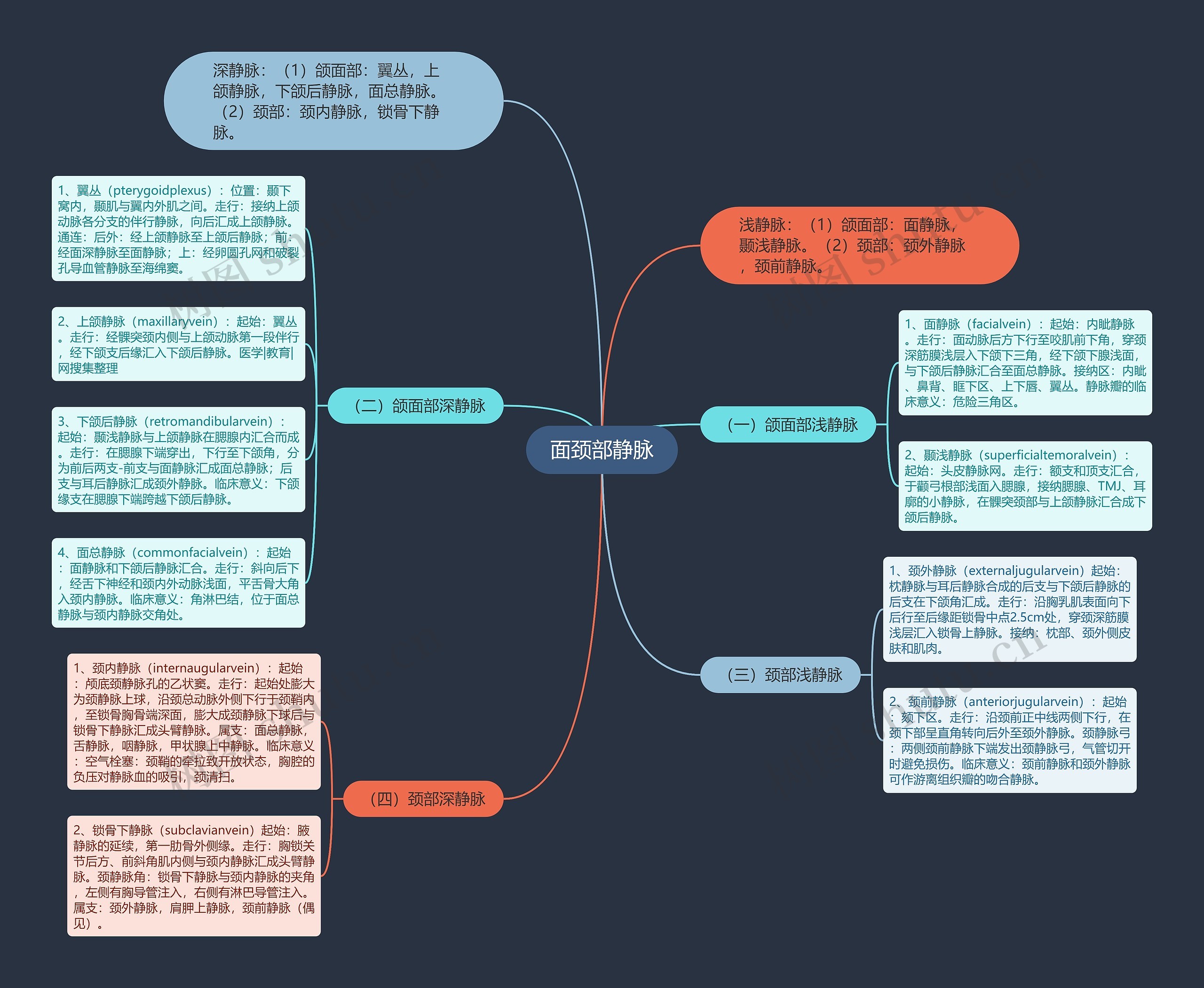 面颈部静脉思维导图