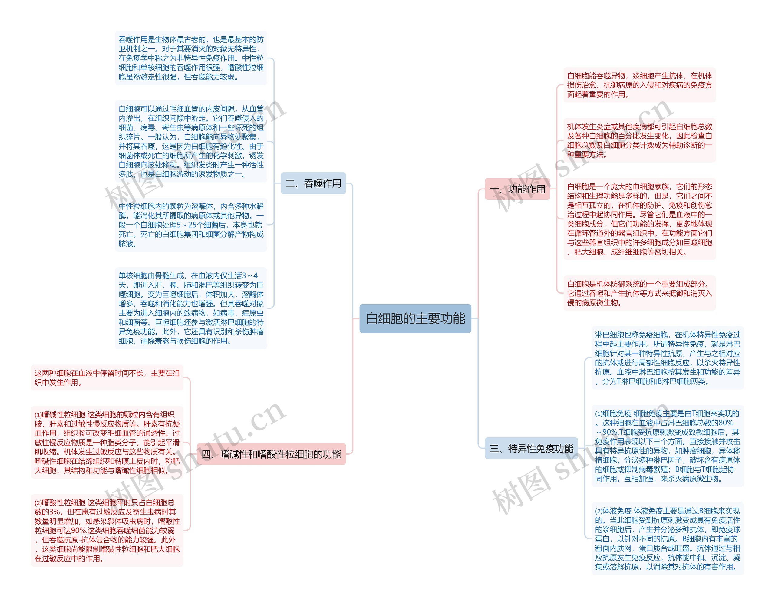 白细胞的主要功能 白细胞的主要功能