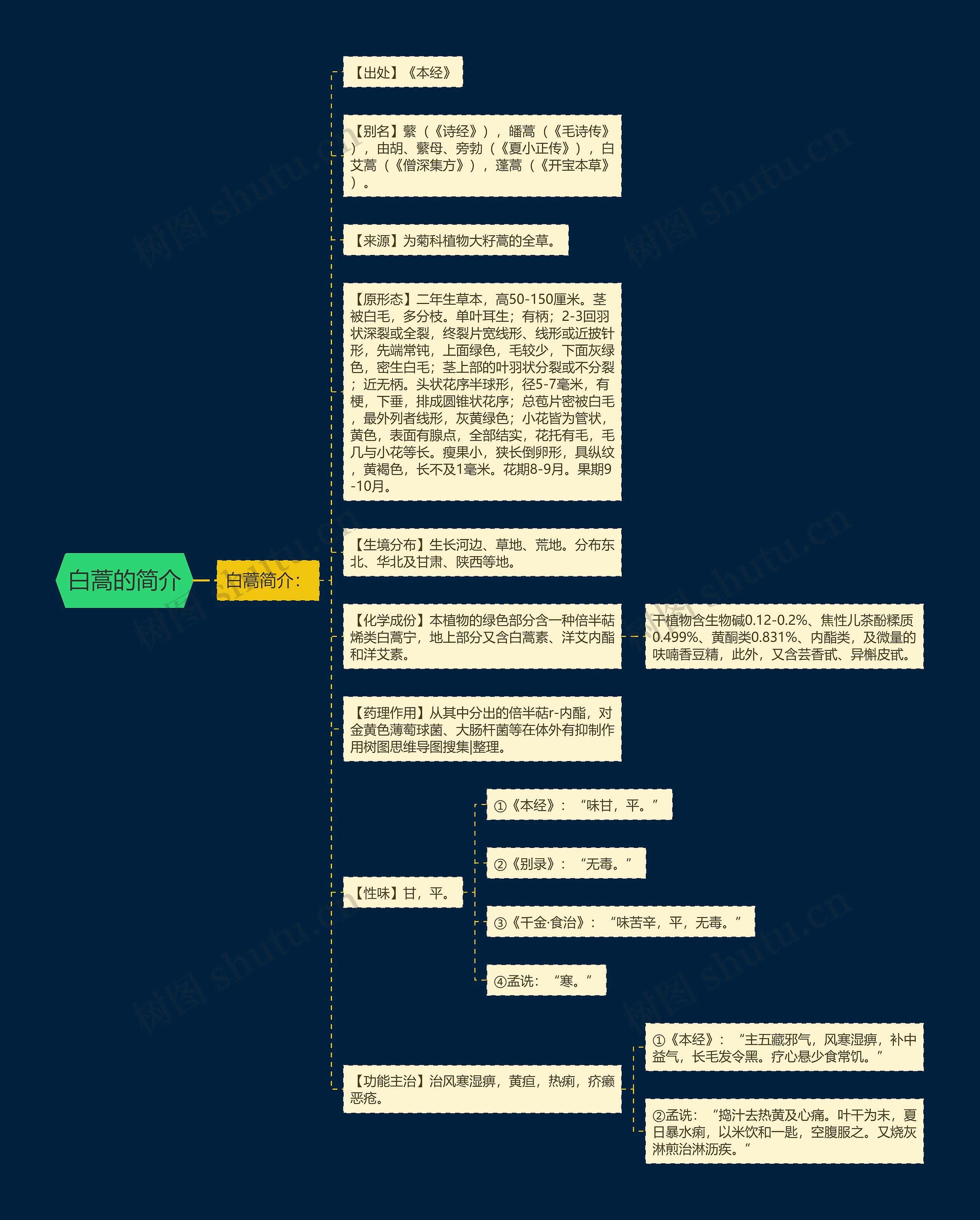 白蒿的简介思维导图