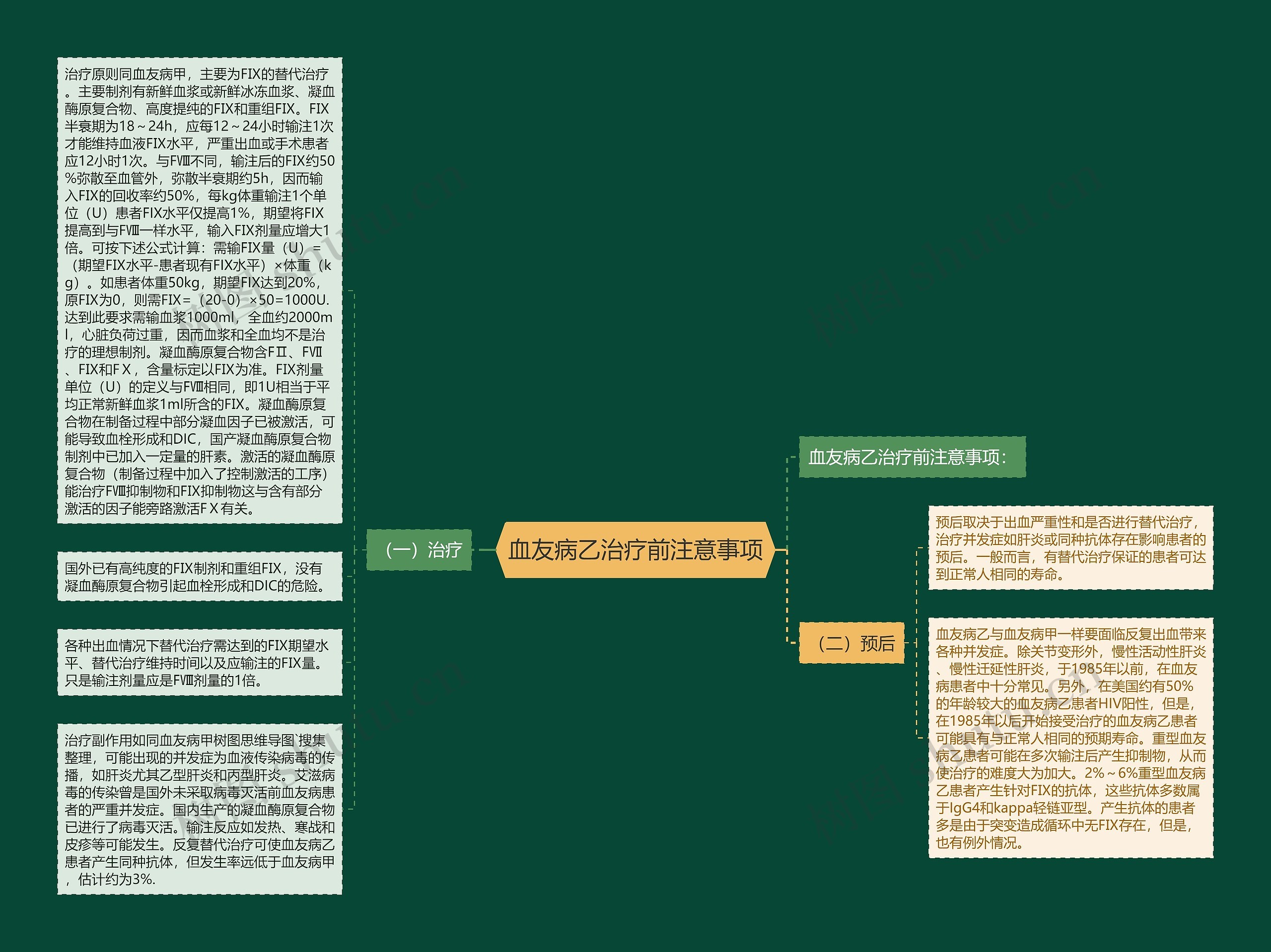 血友病乙治疗前注意事项思维导图