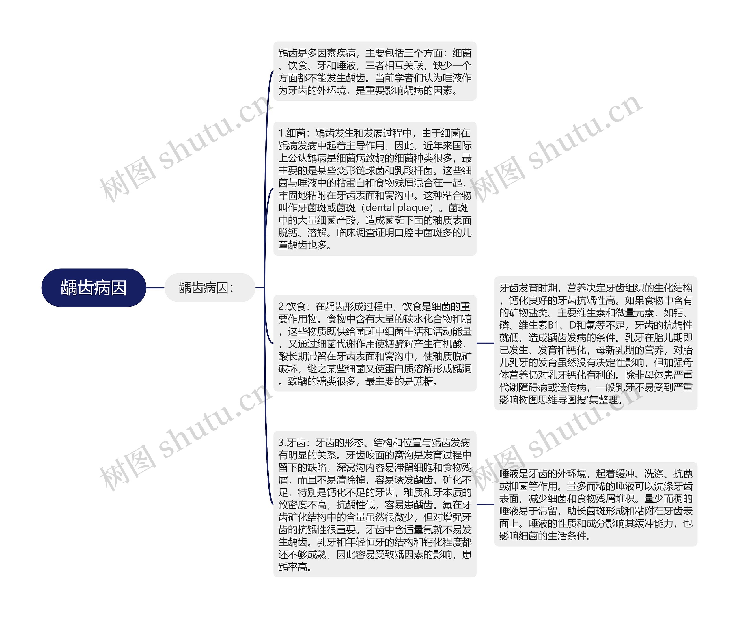 龋齿病因