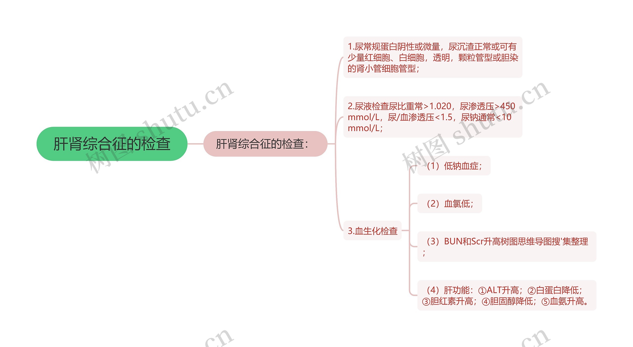 肝肾综合征的检查