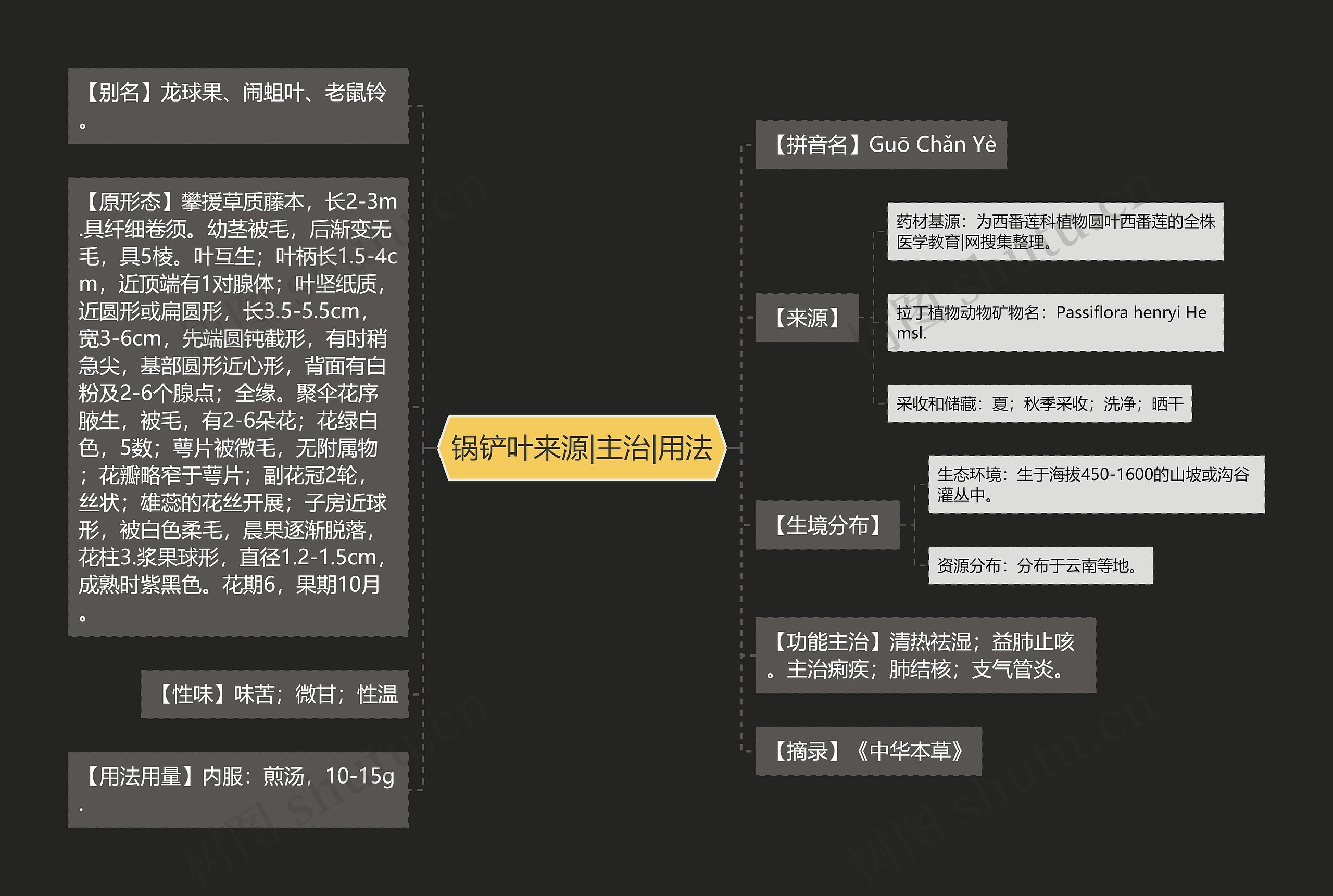 锅铲叶来源|主治|用法思维导图