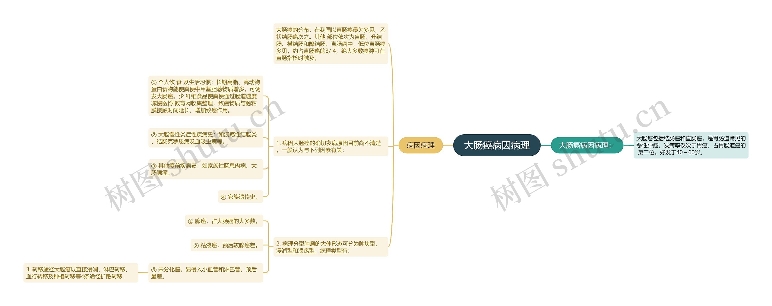 大肠癌病因病理思维导图