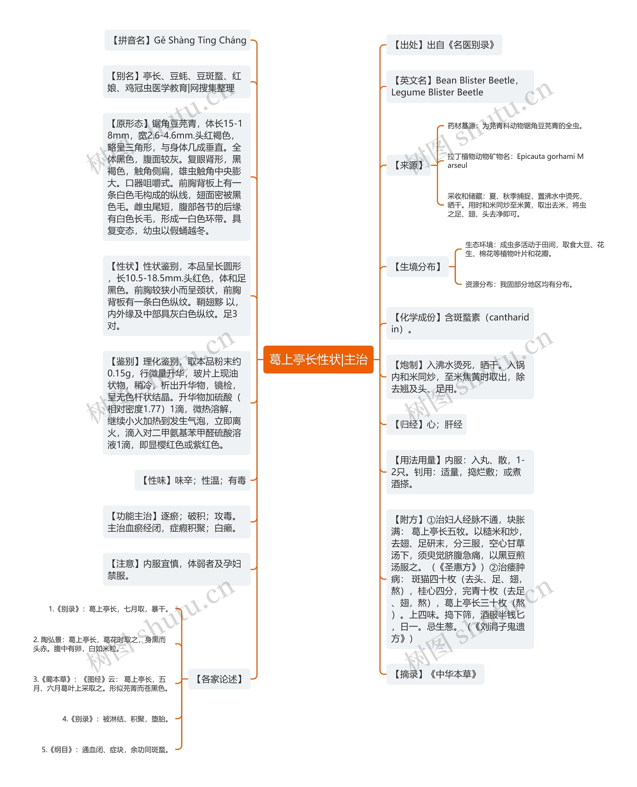 葛上亭长性状|主治思维导图