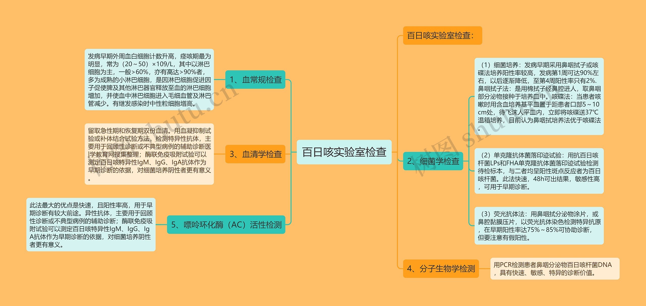 百日咳实验室检查思维导图