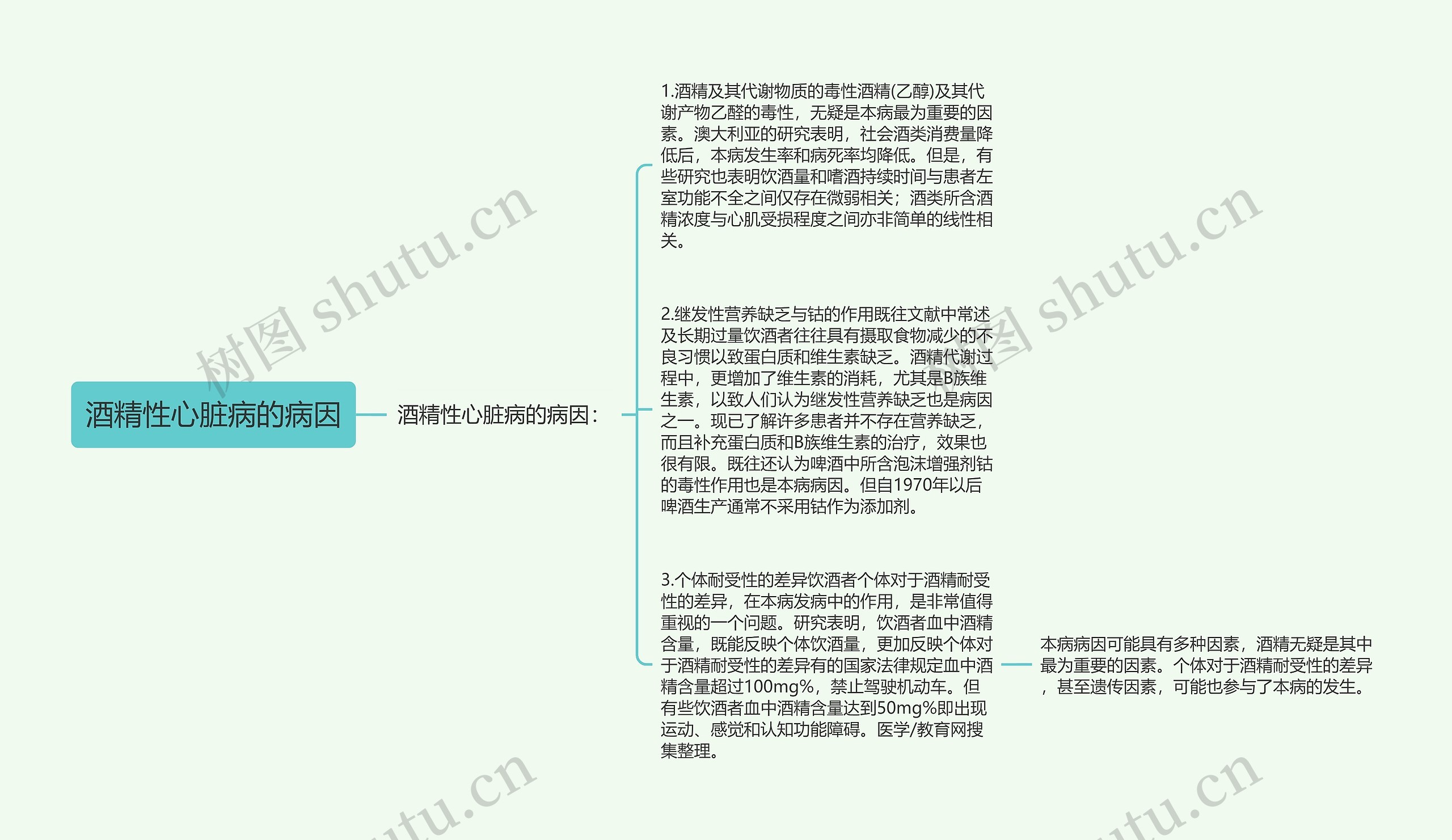 酒精性心脏病的病因