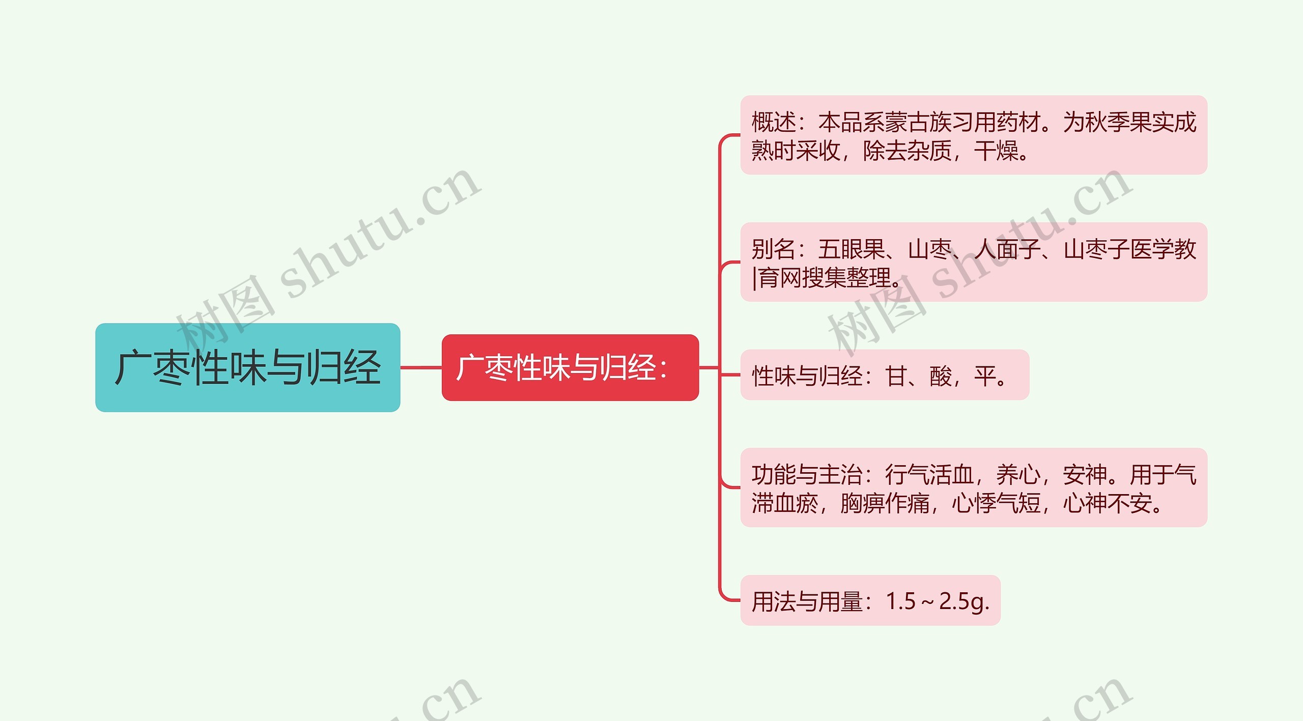 广枣性味与归经