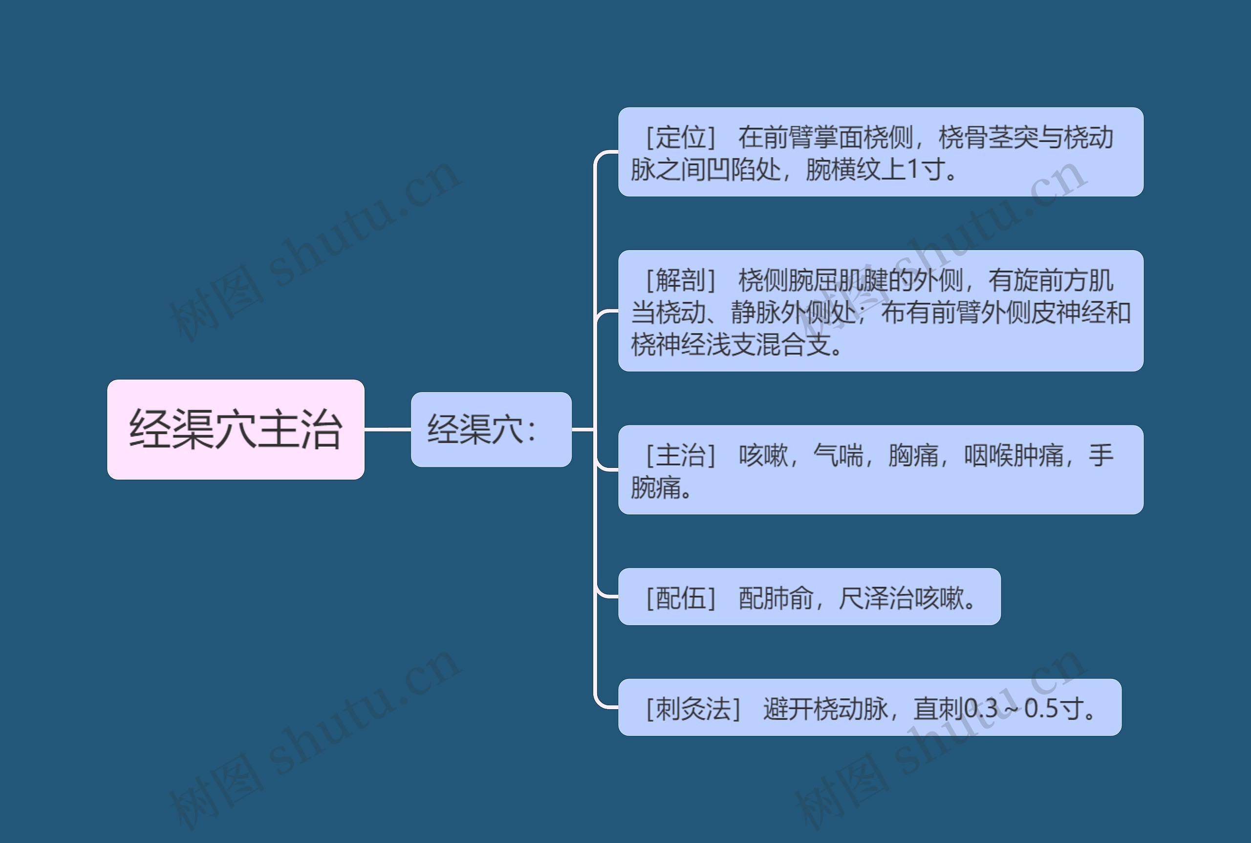 经渠穴主治思维导图