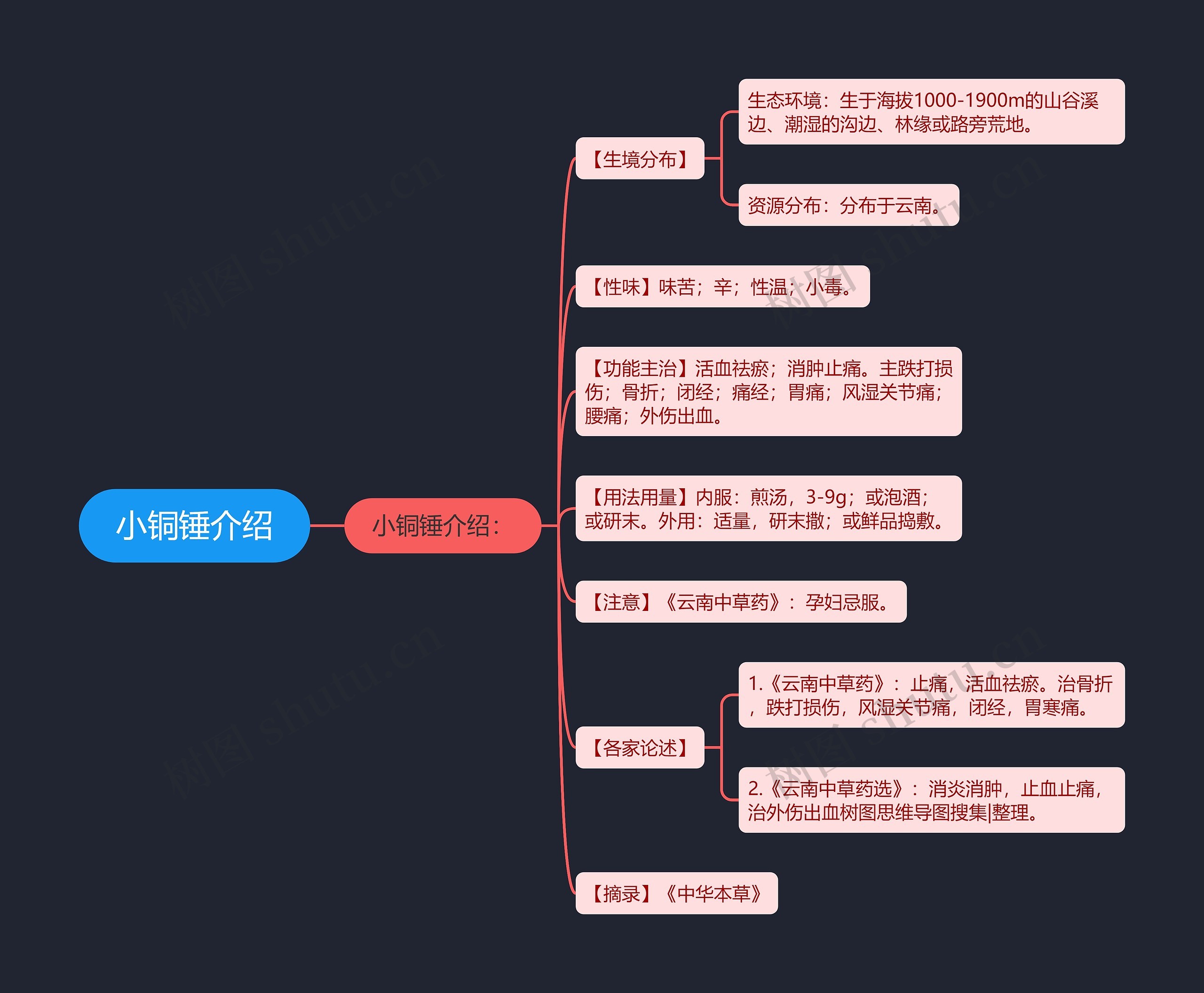 小铜锤介绍 小铜锤介绍