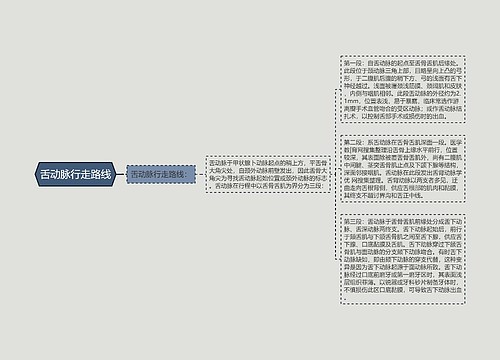 舌动脉行走路线