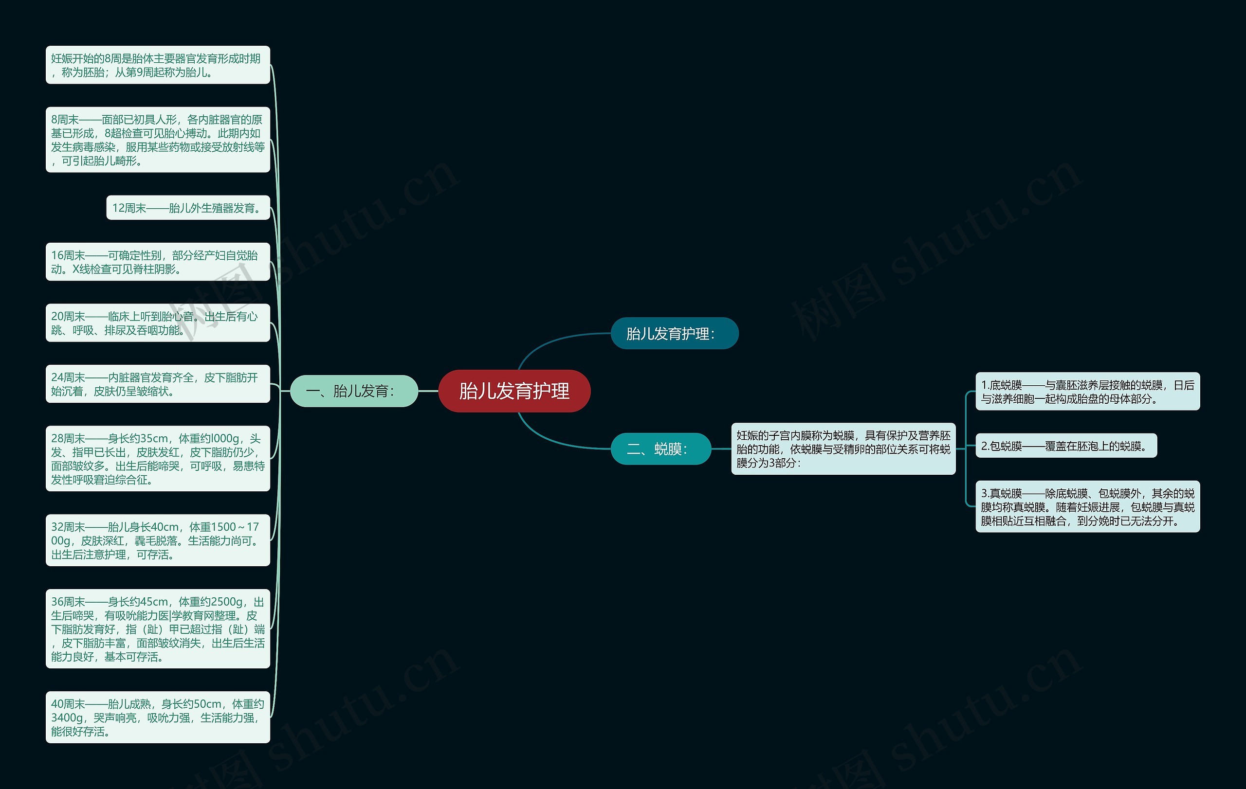 胎儿发育护理 胎儿发育护理