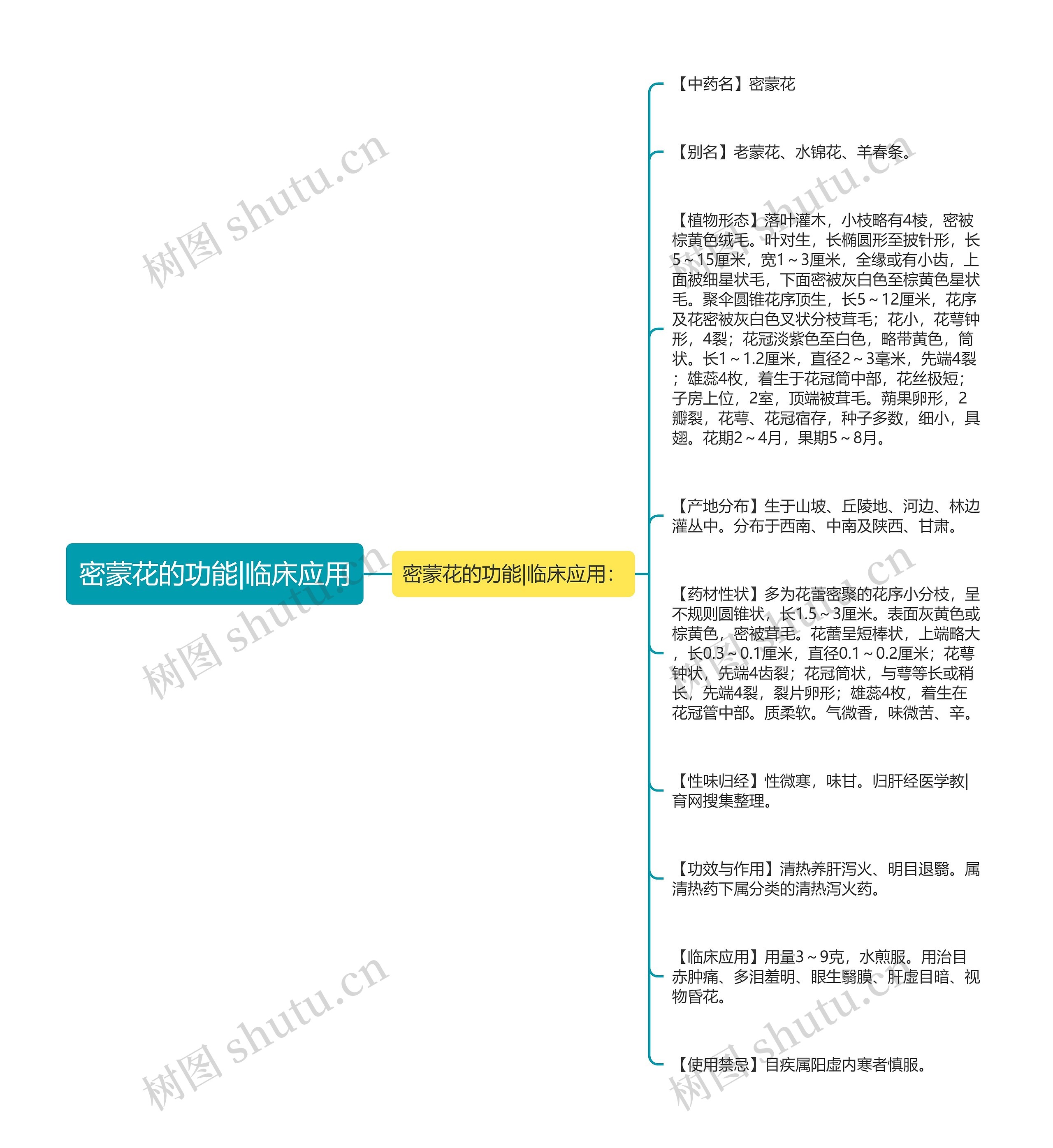 密蒙花的功能|临床应用思维导图