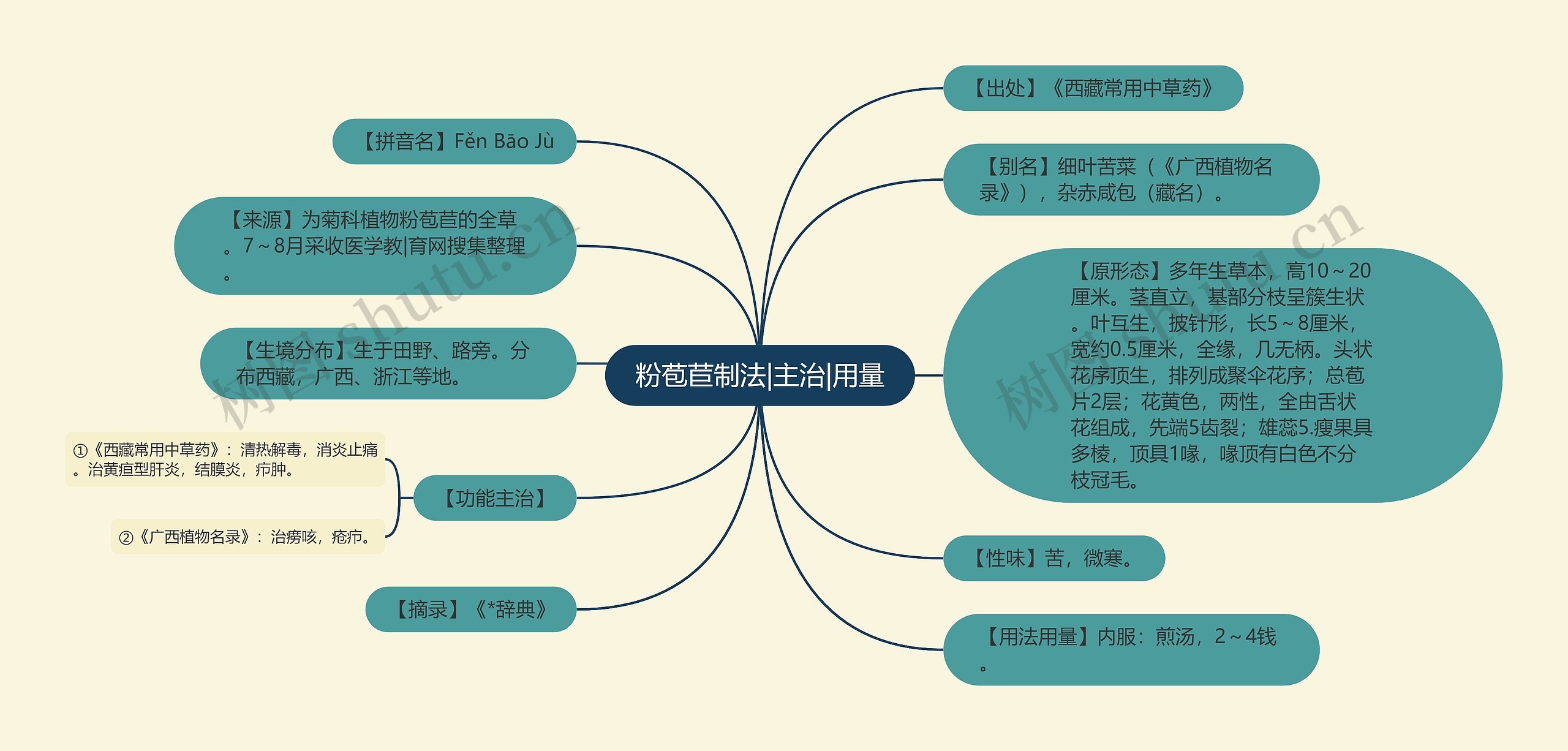 粉苞苣制法|主治|用量思维导图