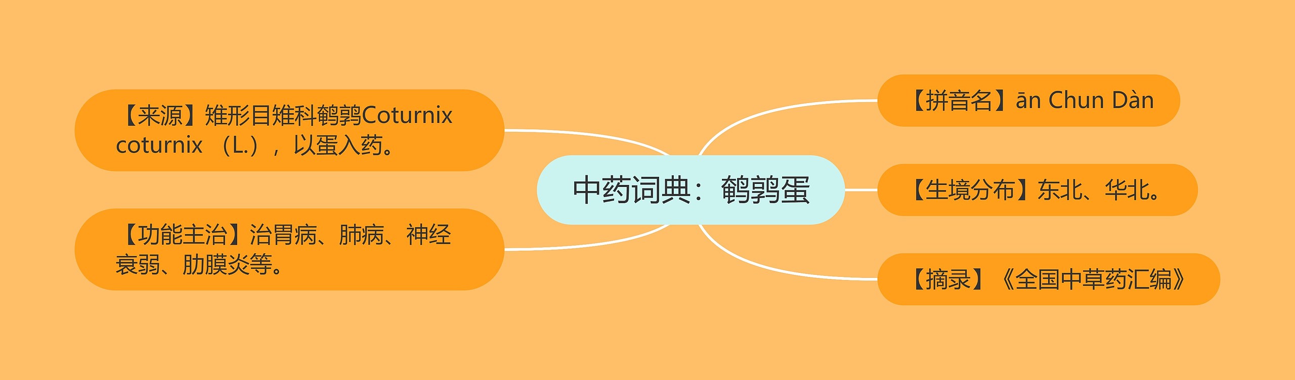 中药词典：鹌鹑蛋